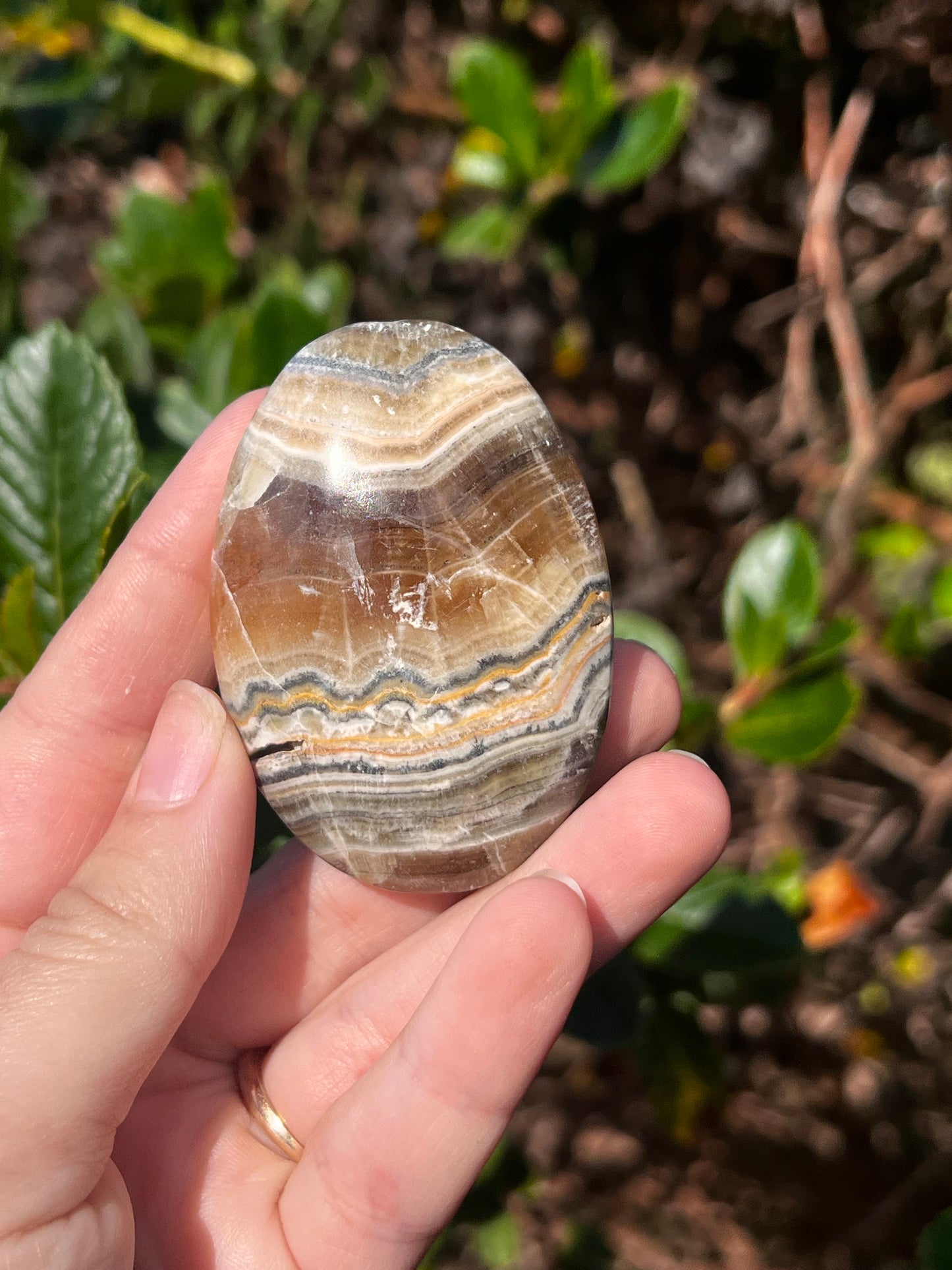 Bumblebee & Zebra Jasper Palm Stone
