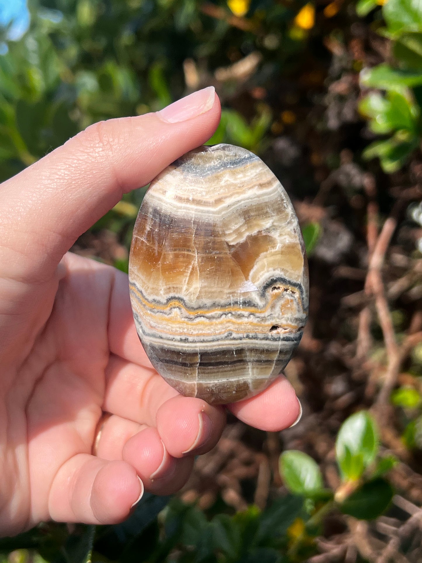 Bumblebee & Zebra Jasper Palm Stone