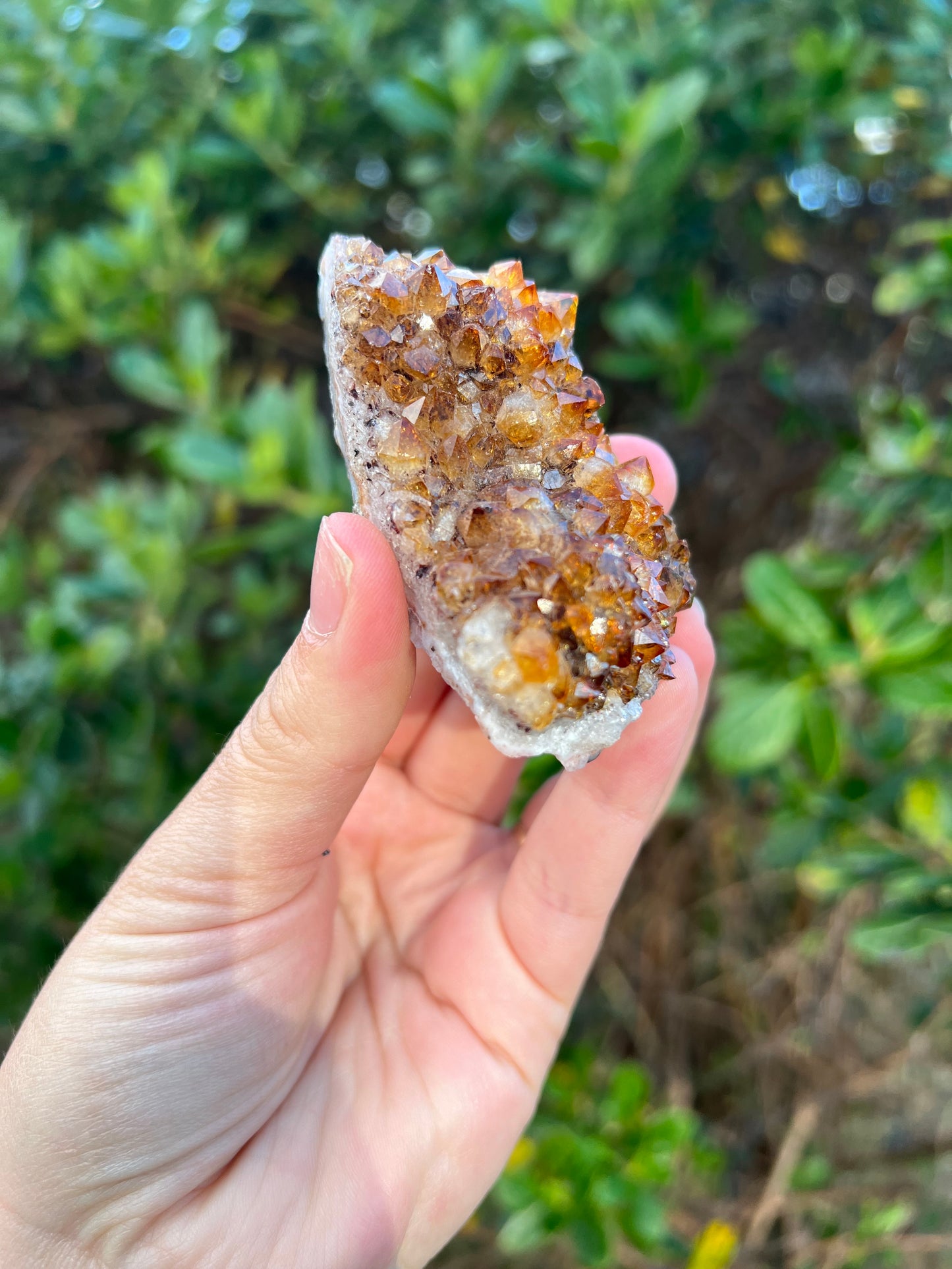 Citrine Cluster (HTA)
