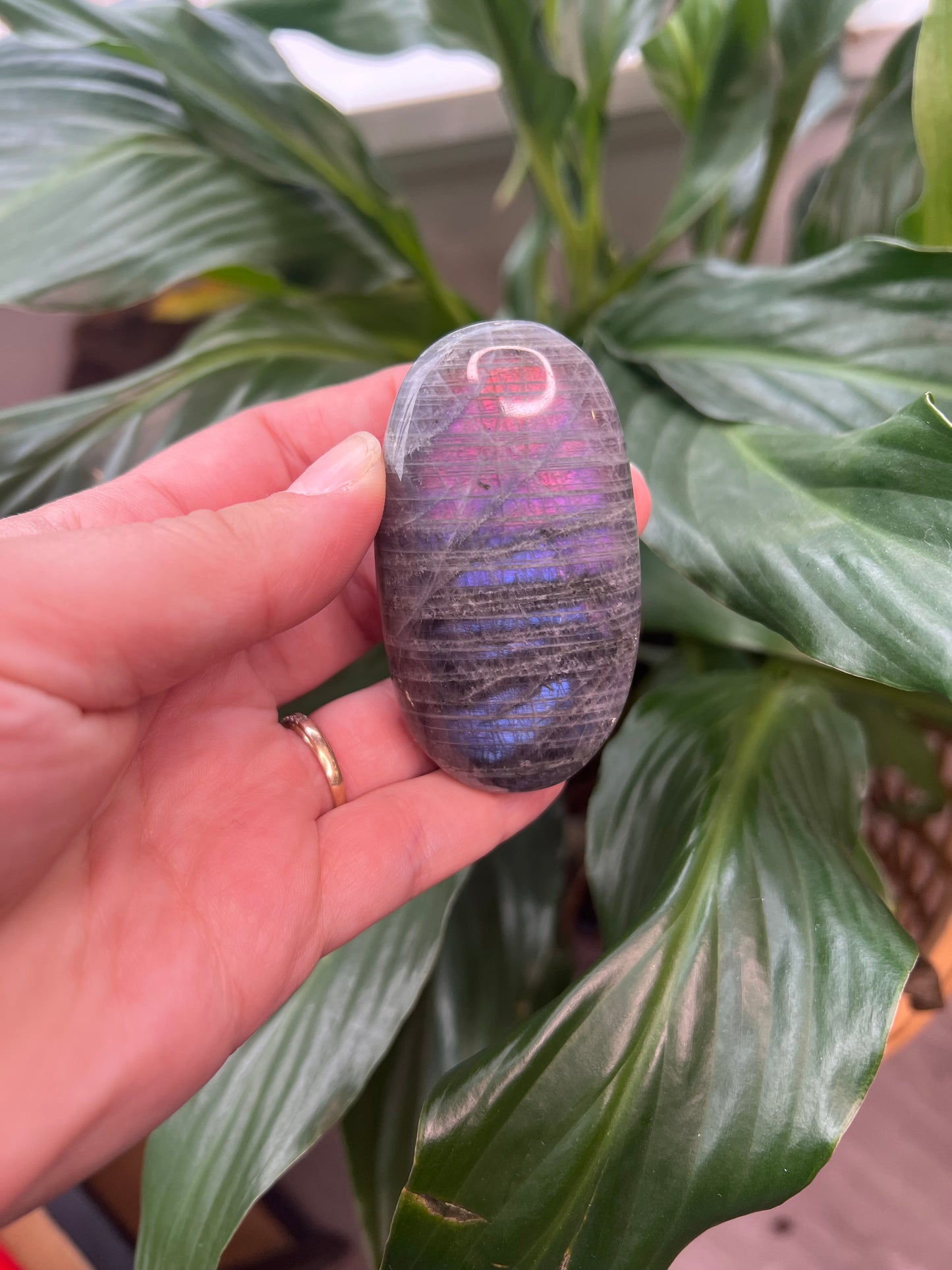 Labradorite Palmstone- Purple