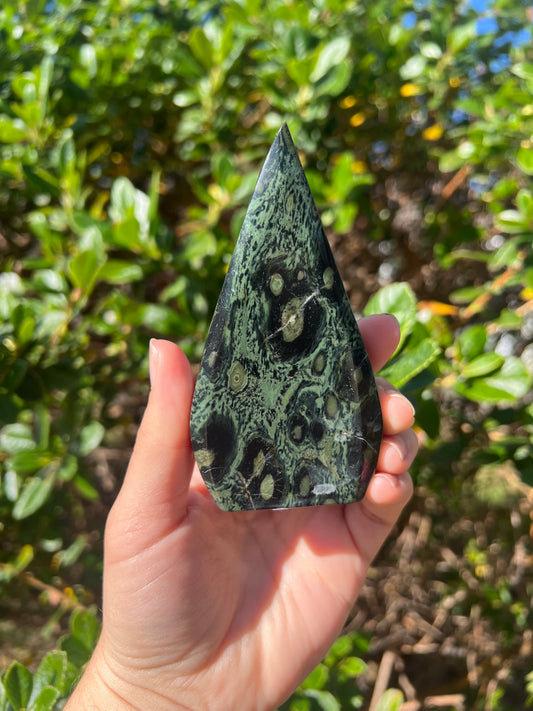 Kambaba Jasper Flame