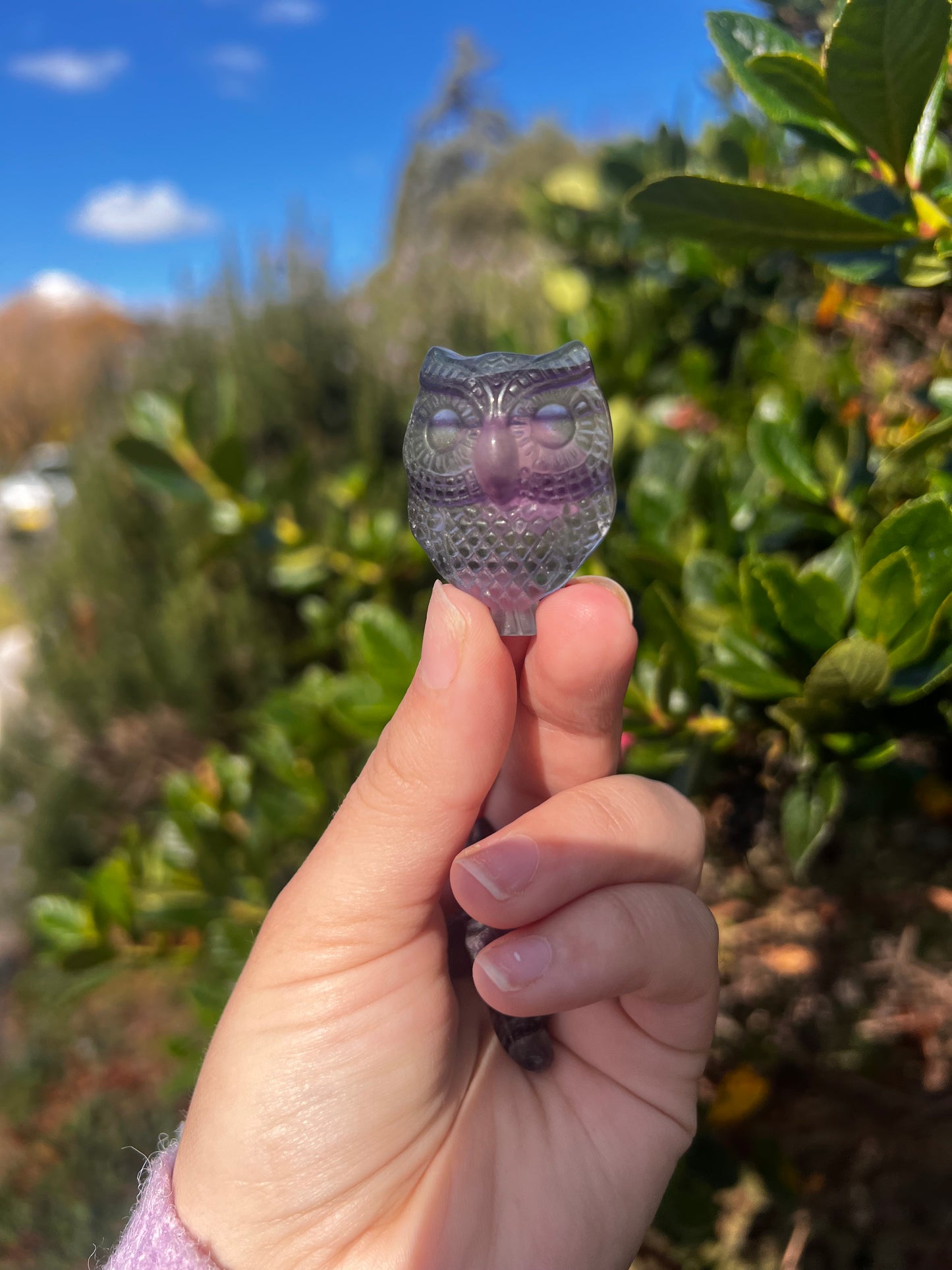 Candy Fluorite Owl Carving