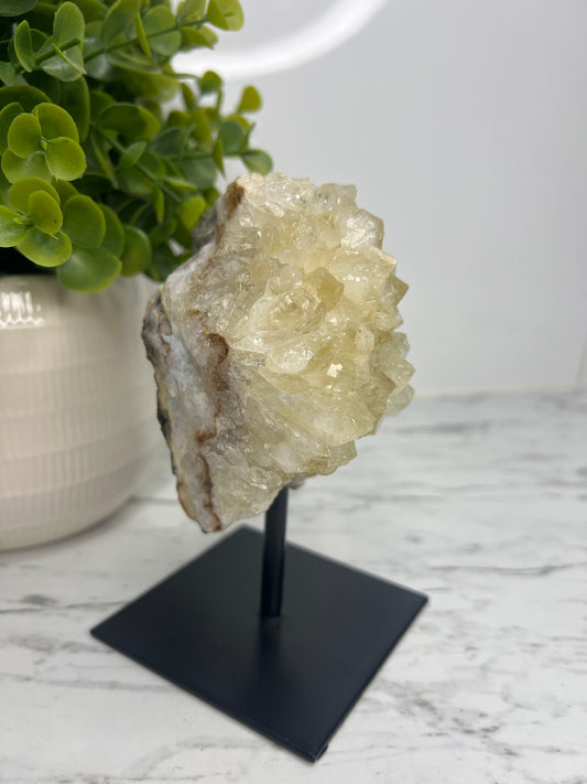 Citrine Cluster on Stand