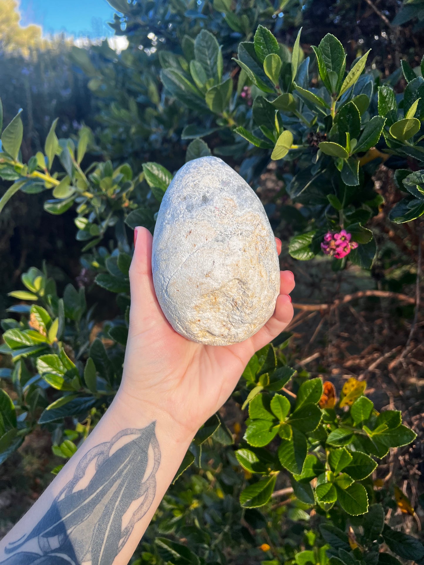Celestite Egg- Statement Piece