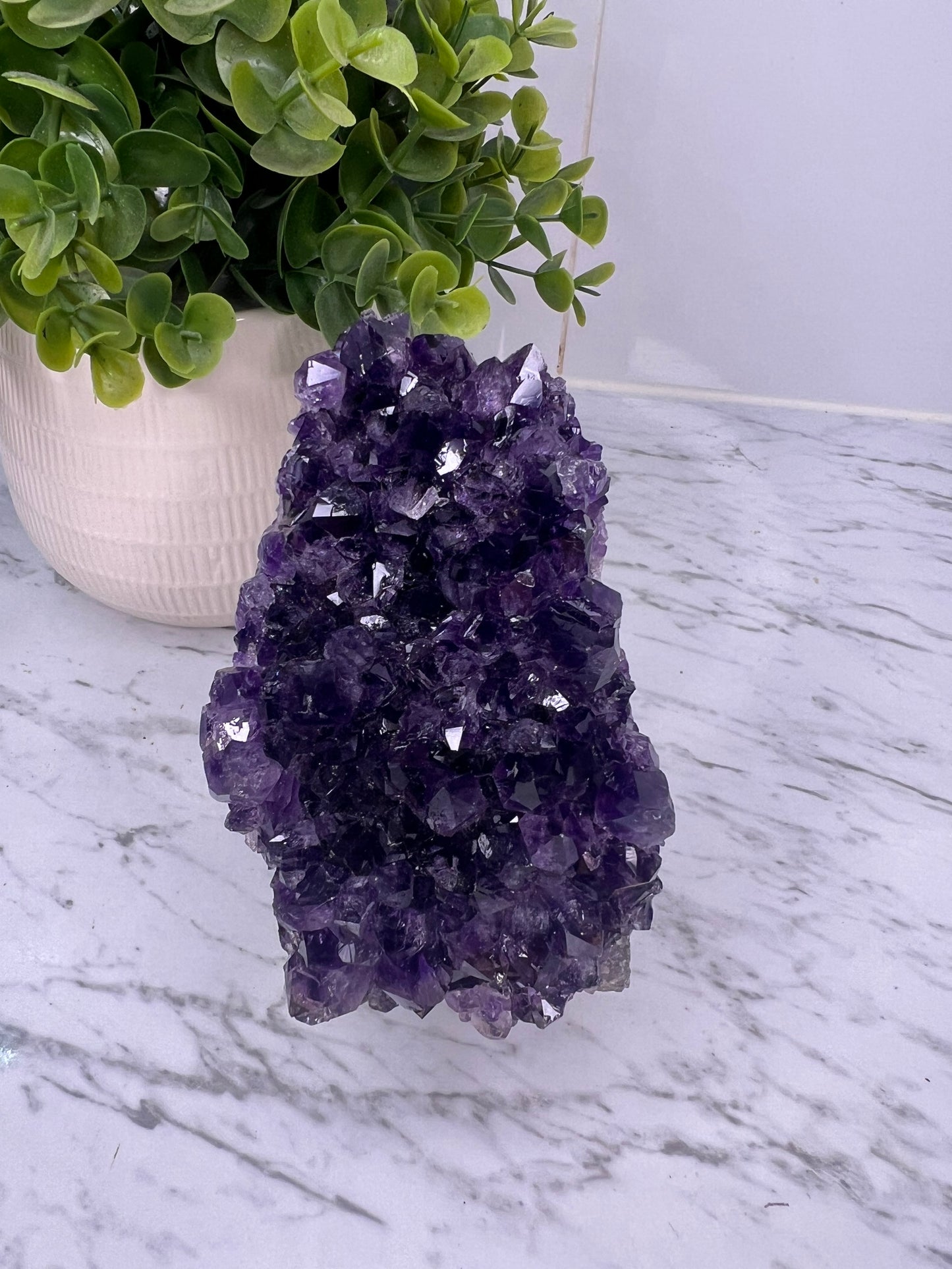Amethyst Cluster- Statement Piece (From Uruguay)