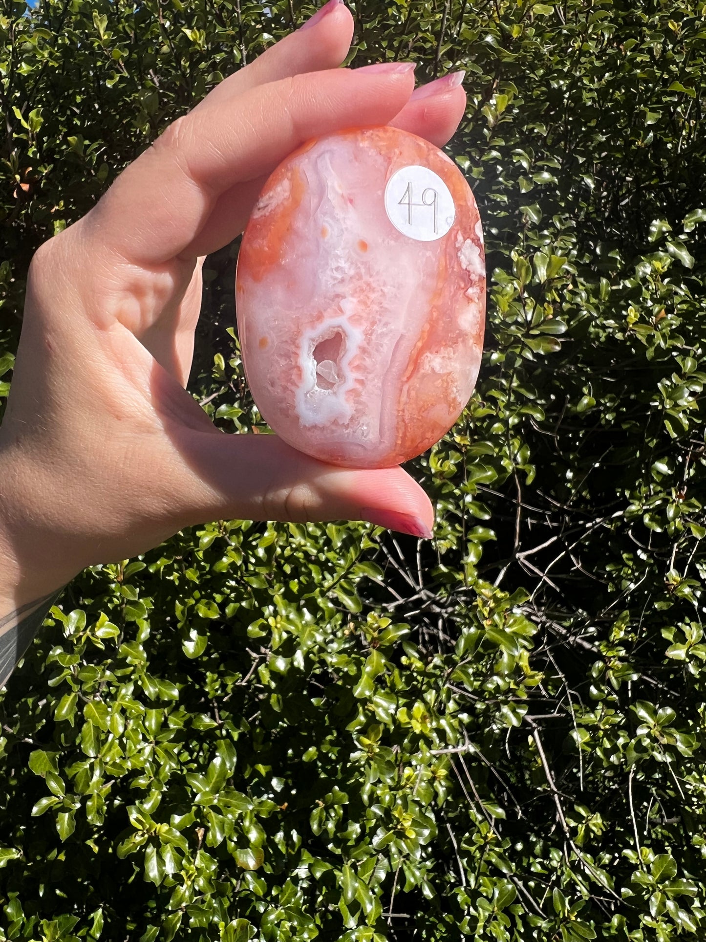 Carnelian Flower Agate Palm Stone