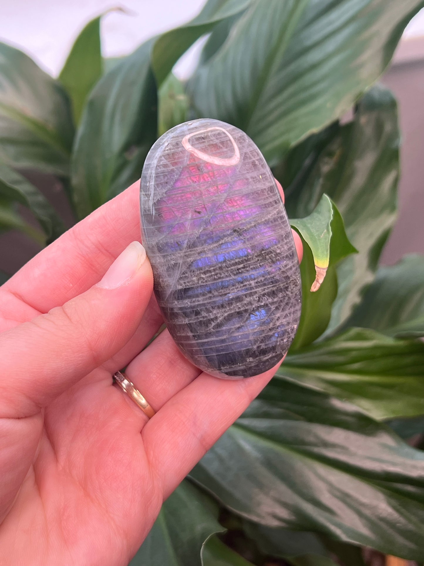 Labradorite Palmstone- Purple
