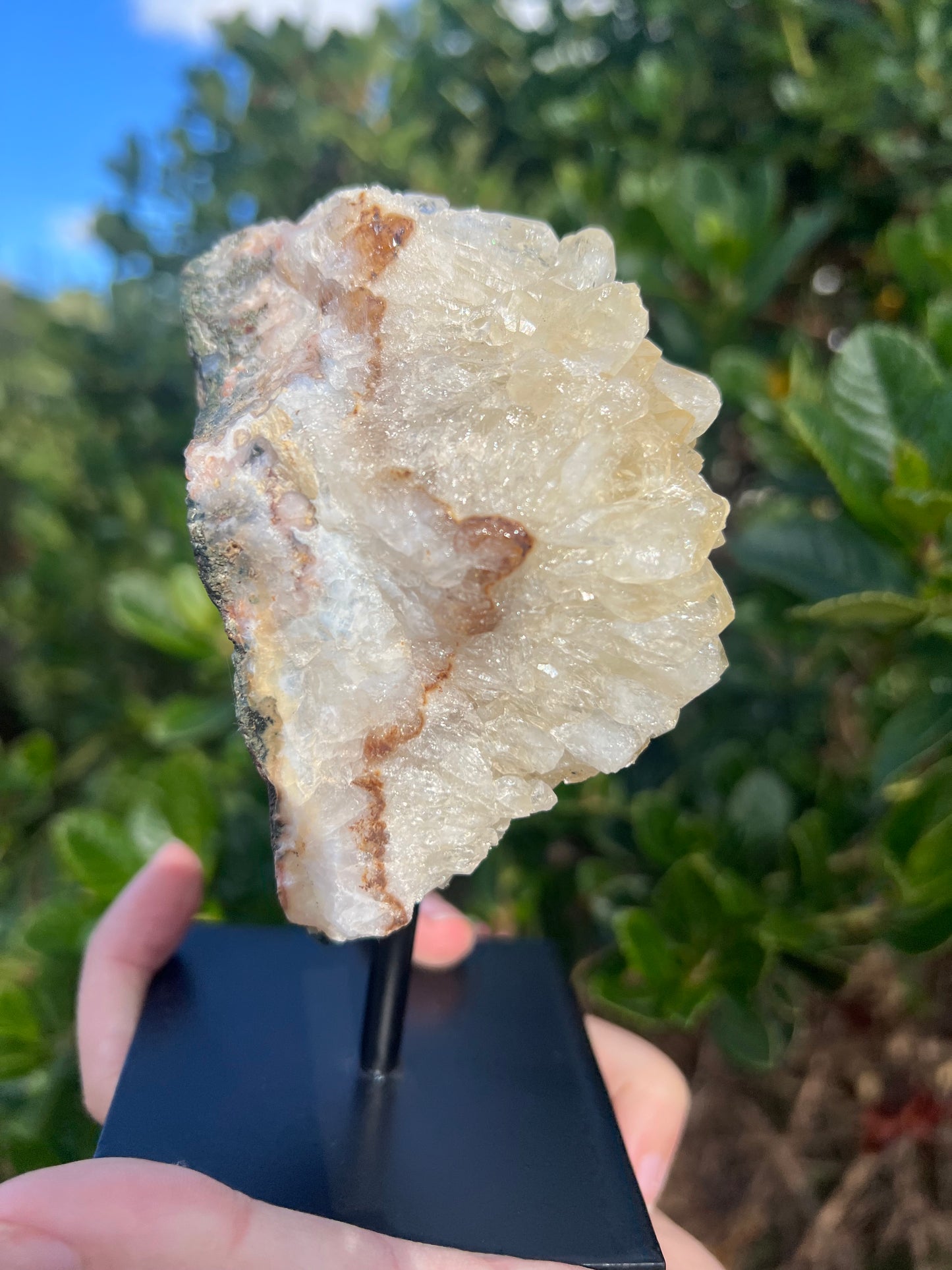 Citrine Cluster on Stand (HTA)