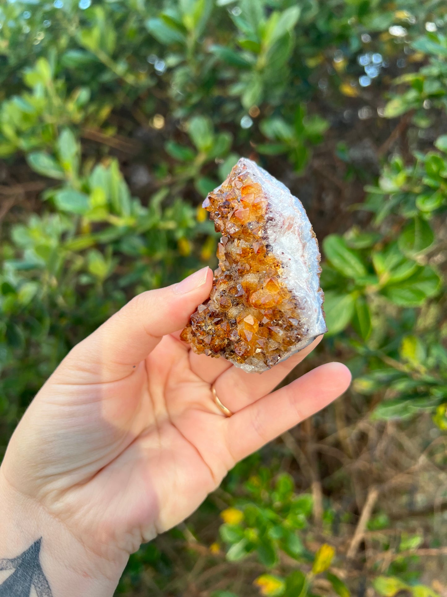 Citrine Cluster (HTA)