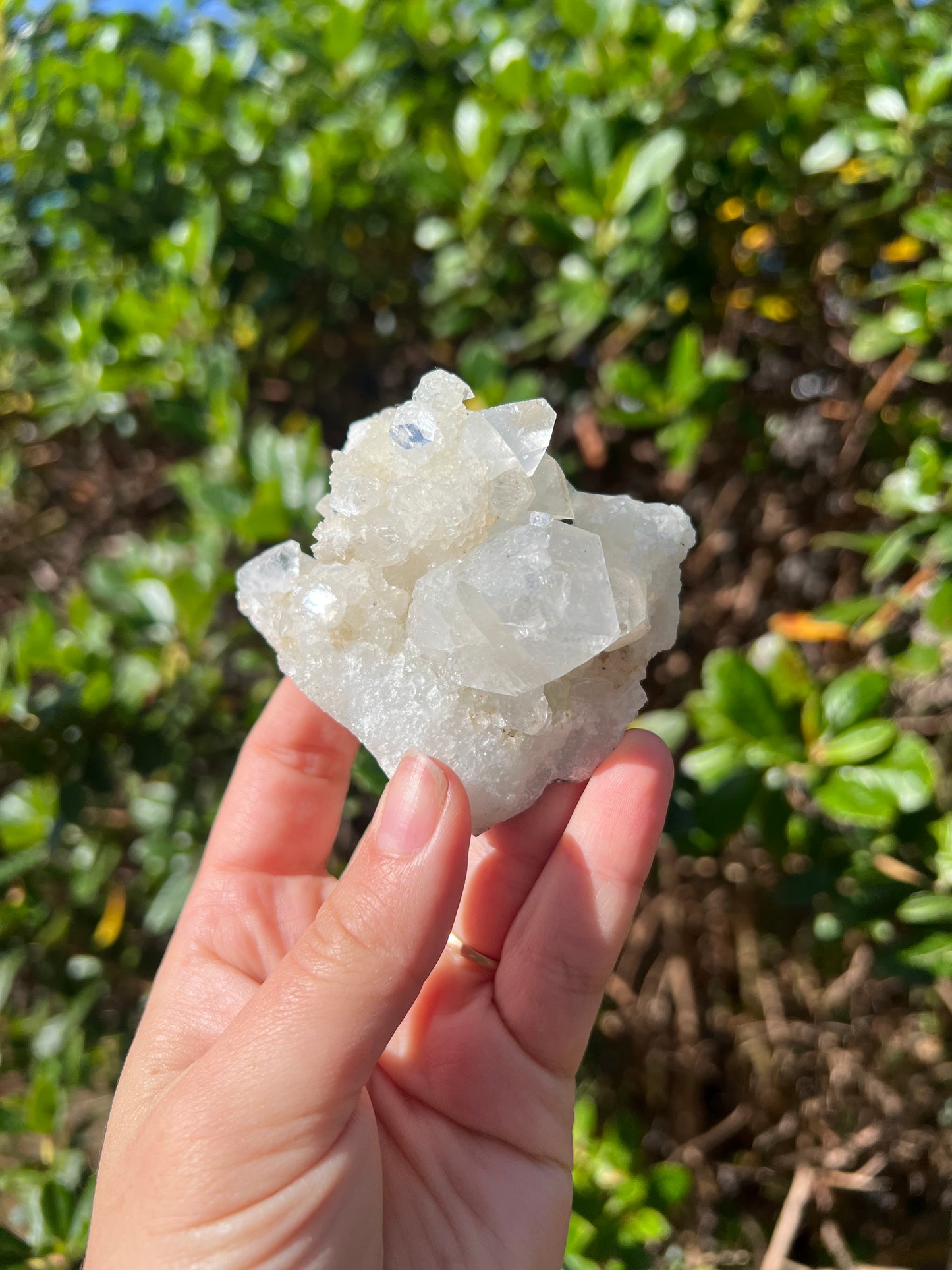 Apophyllite Cluster