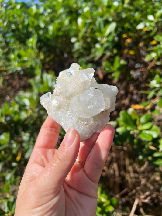 Apophyllite Cluster
