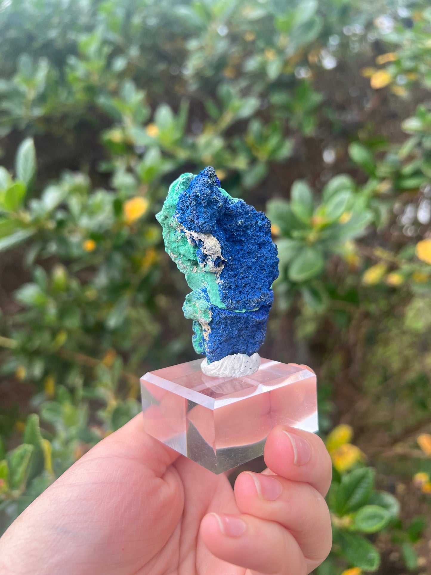 Azurite & Malachite Specimen