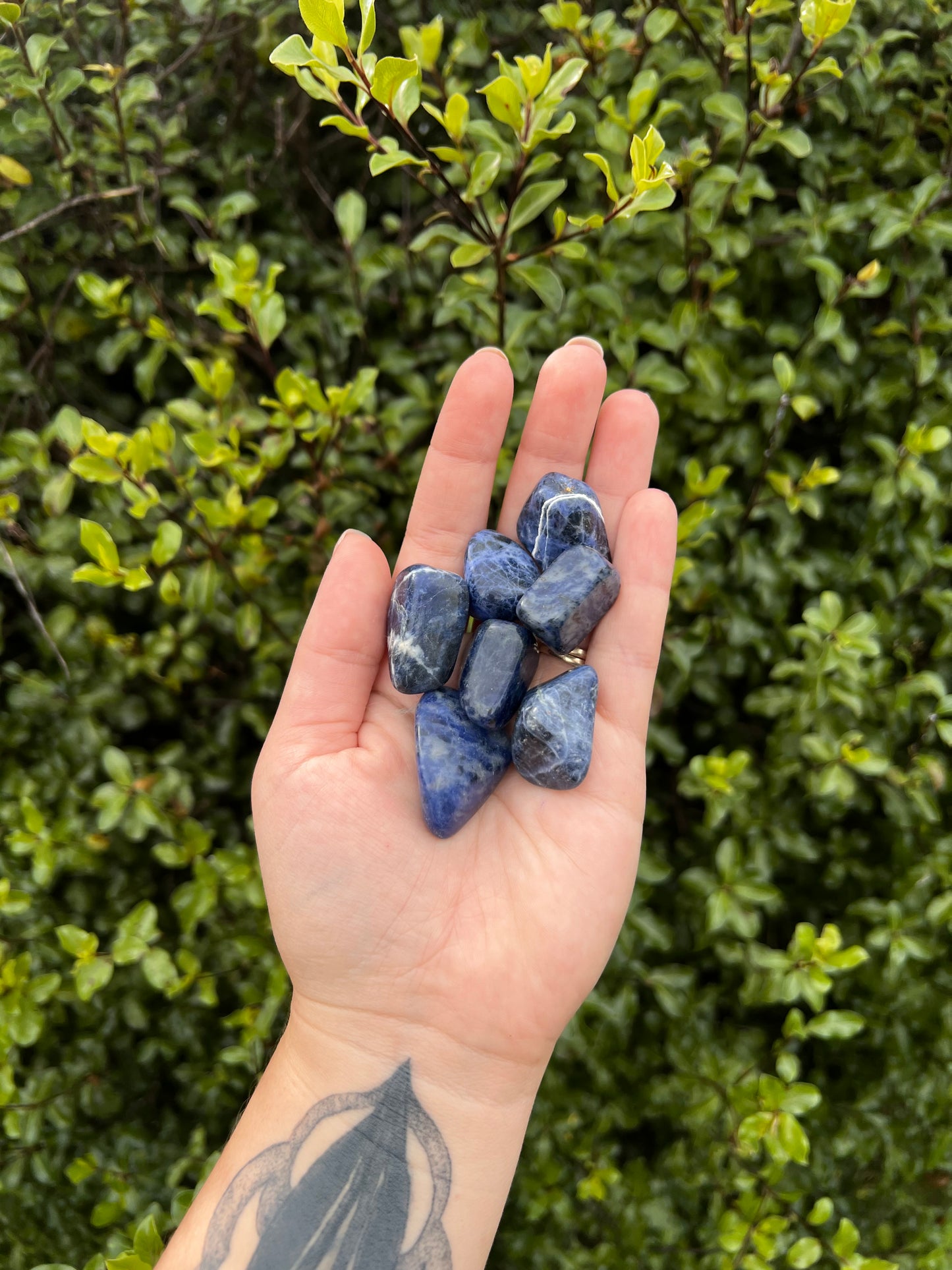 Sodalite Tumbles