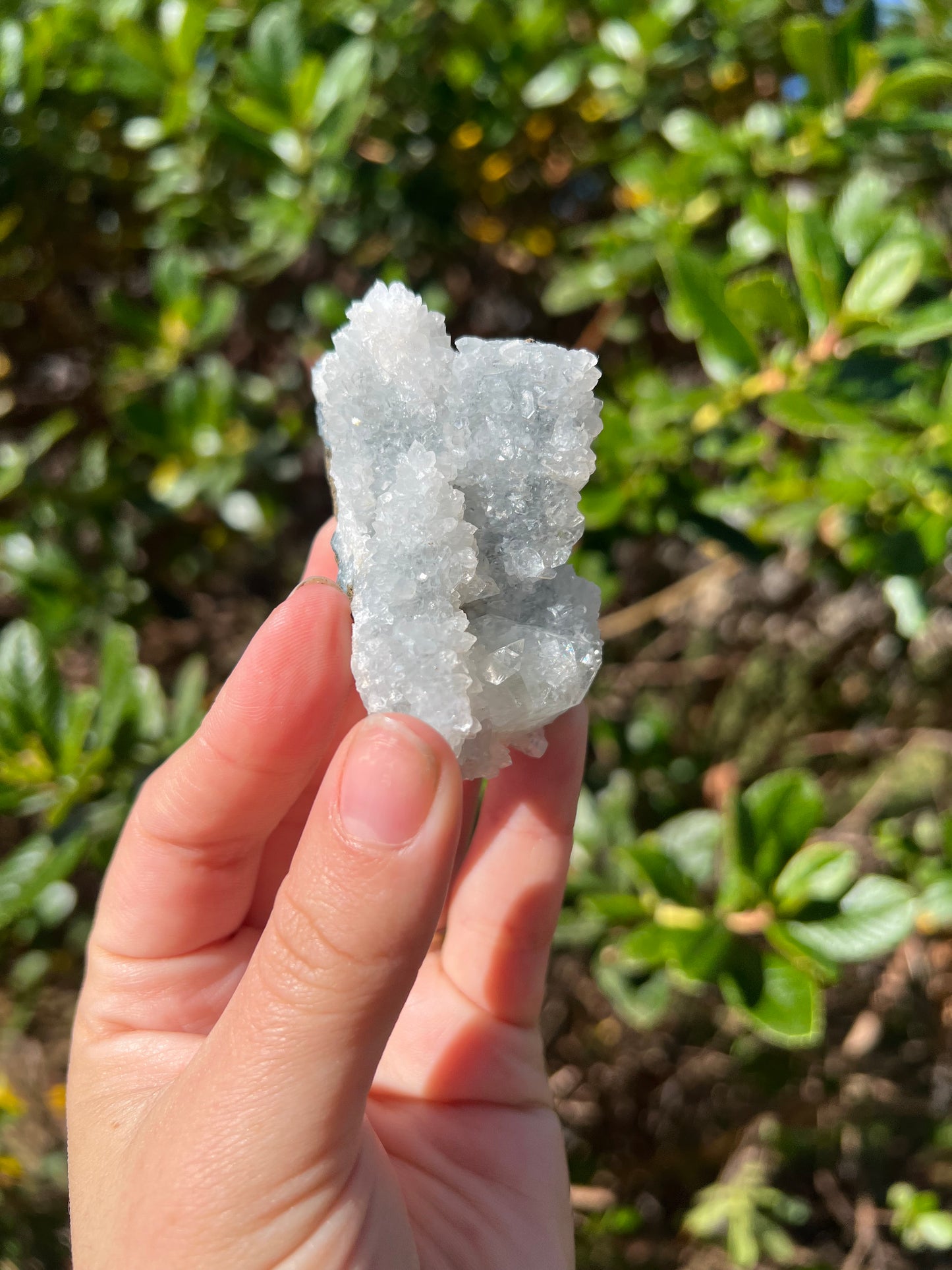 Apophyllite Cluster