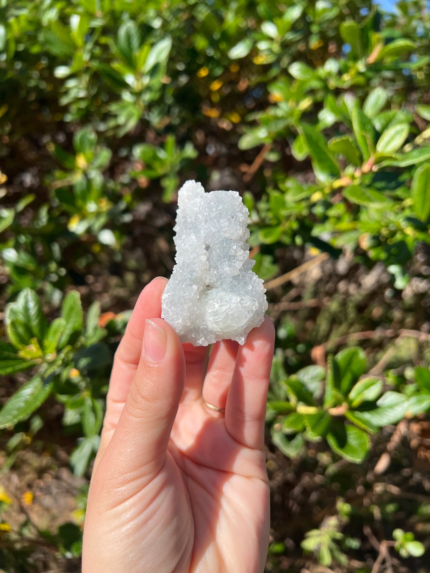 Apophyllite Cluster