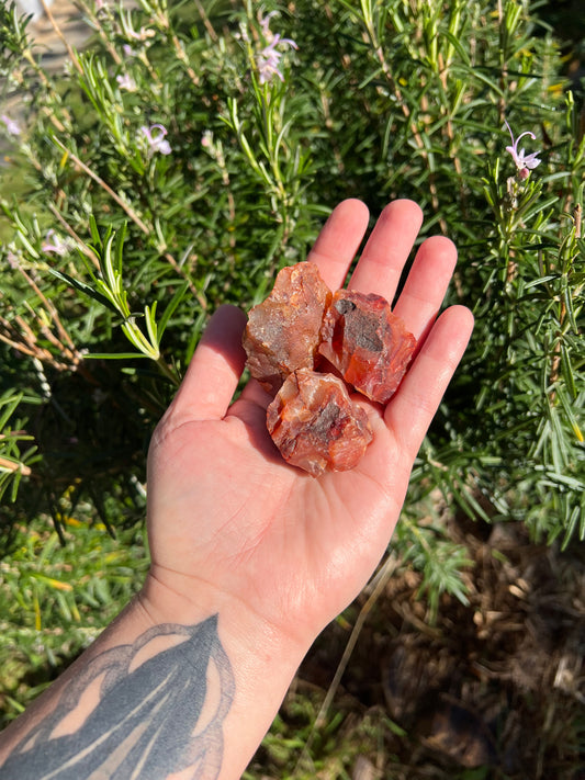 Carnelian Rough