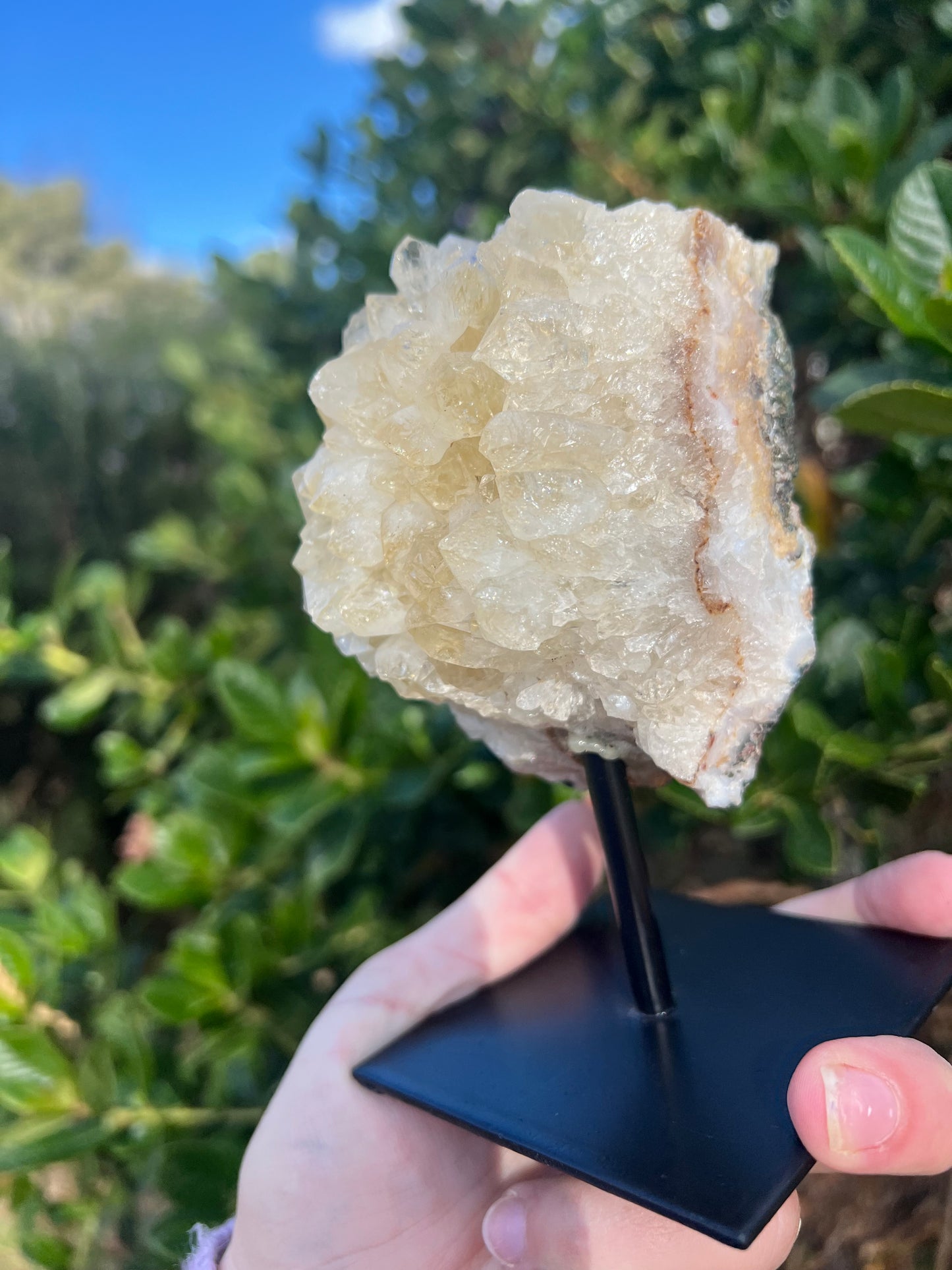 Citrine Cluster on Stand (HTA)