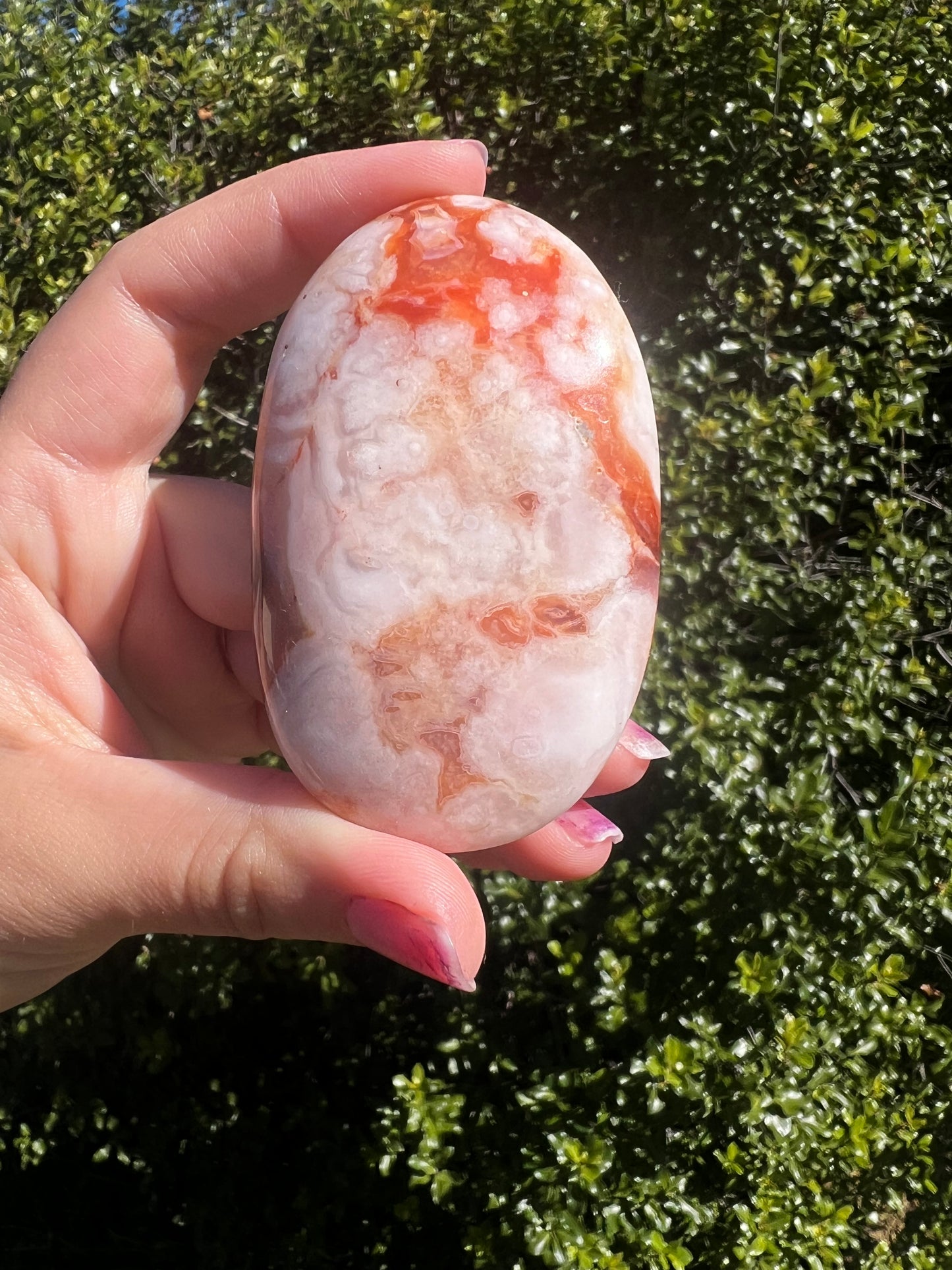Carnelian Flower Agate Palm Stone