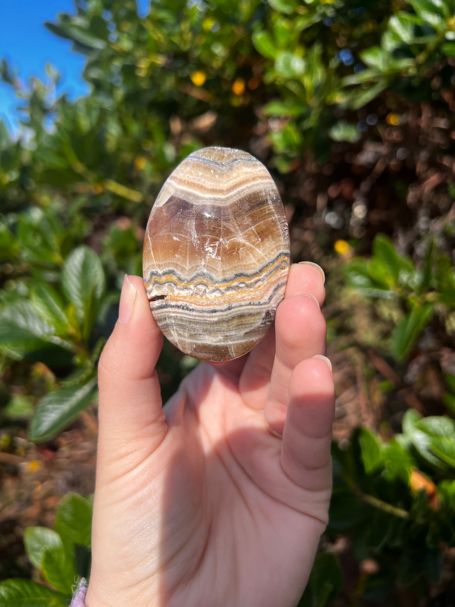Bumblebee & Zebra Jasper Palm Stone