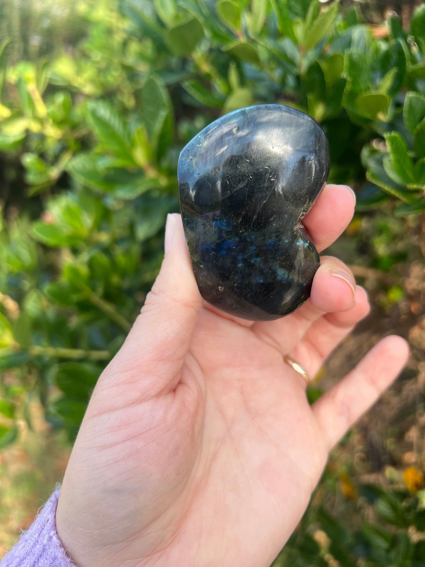 Labradorite- Misfit
