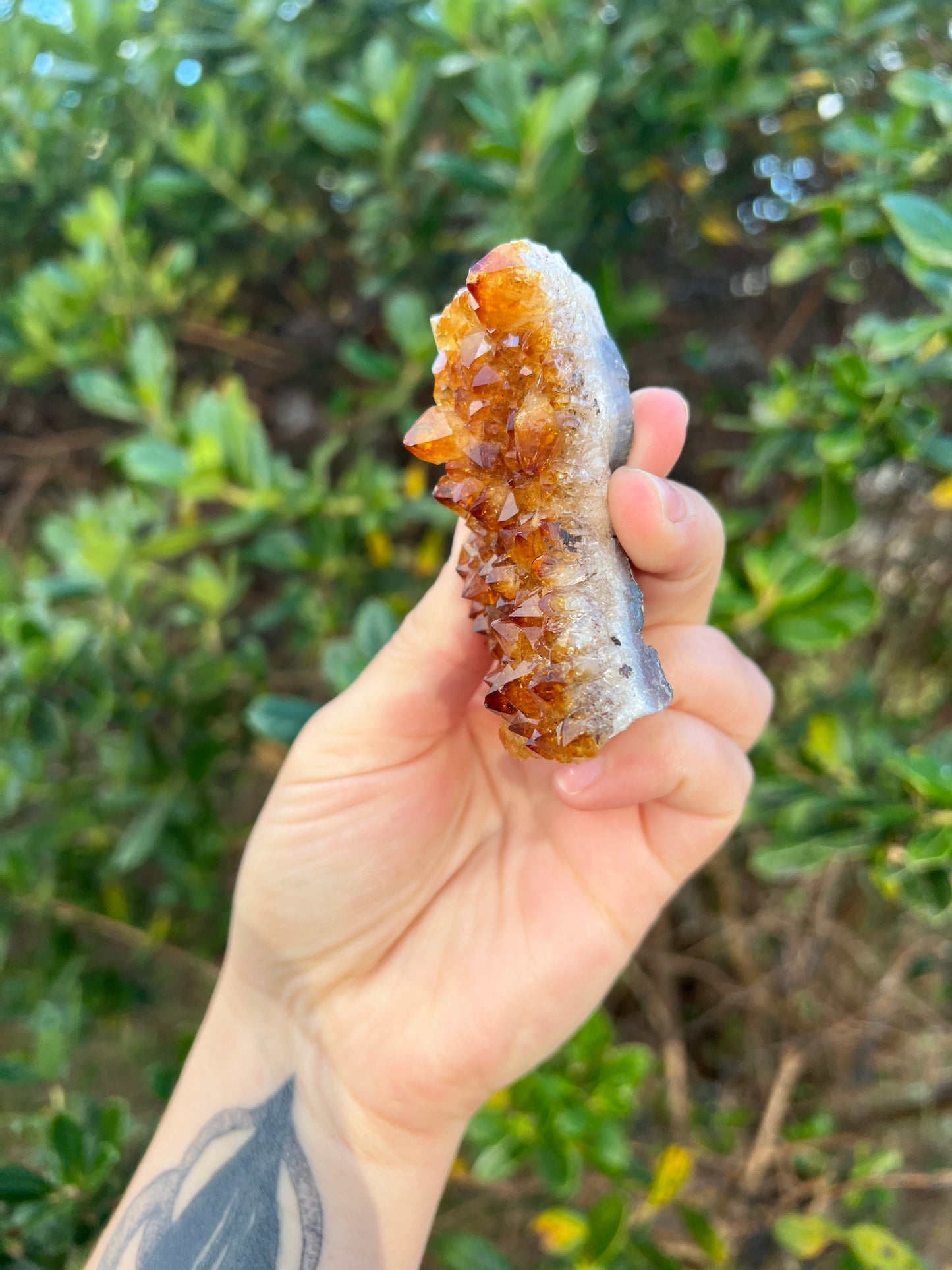 Citrine Cluster (HTA)