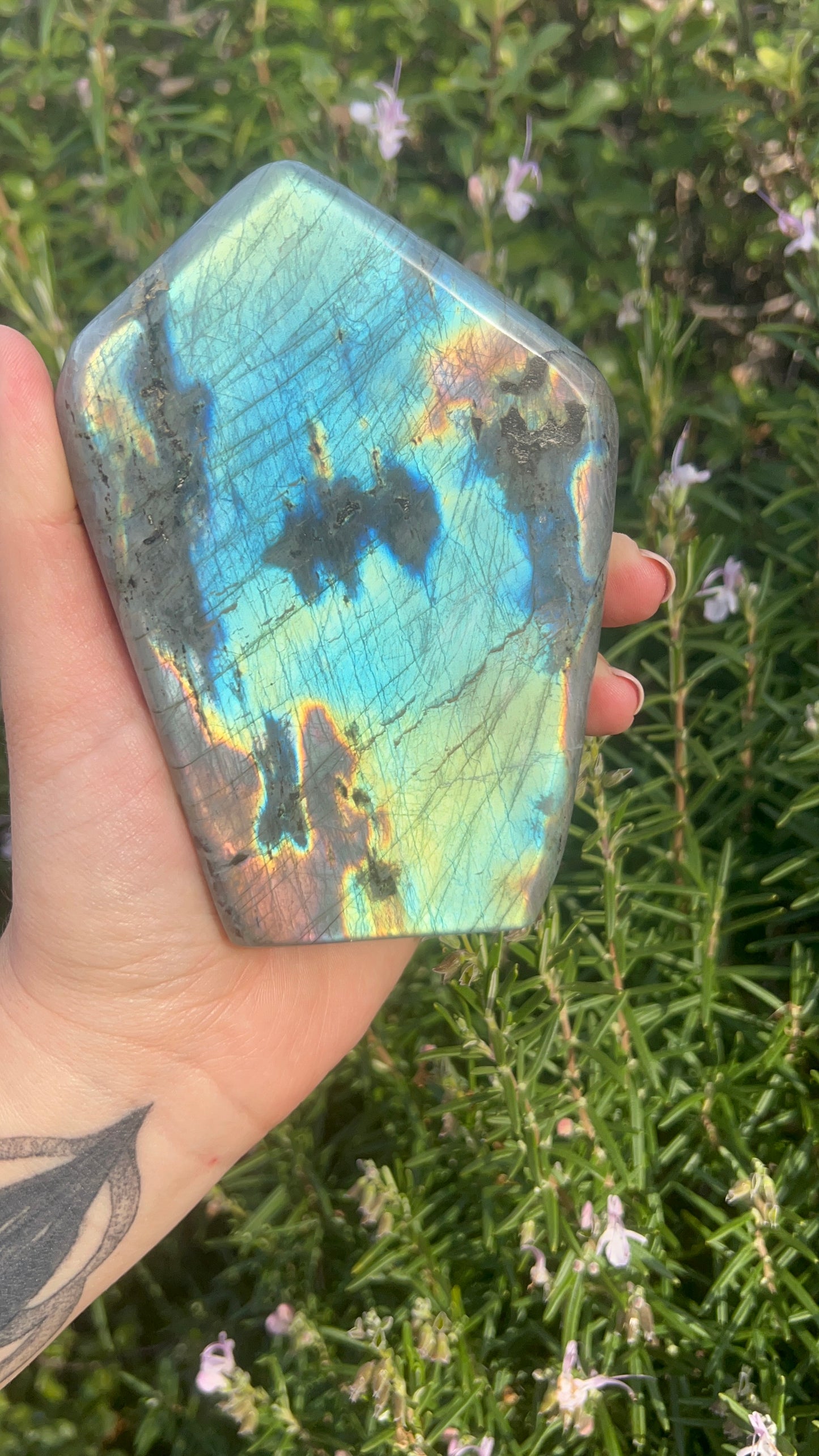 Labradorite Freeform