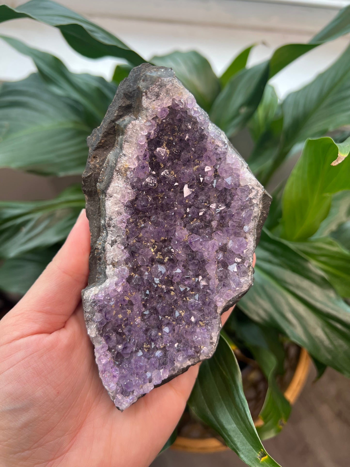 Amethyst Cluster Cut Base