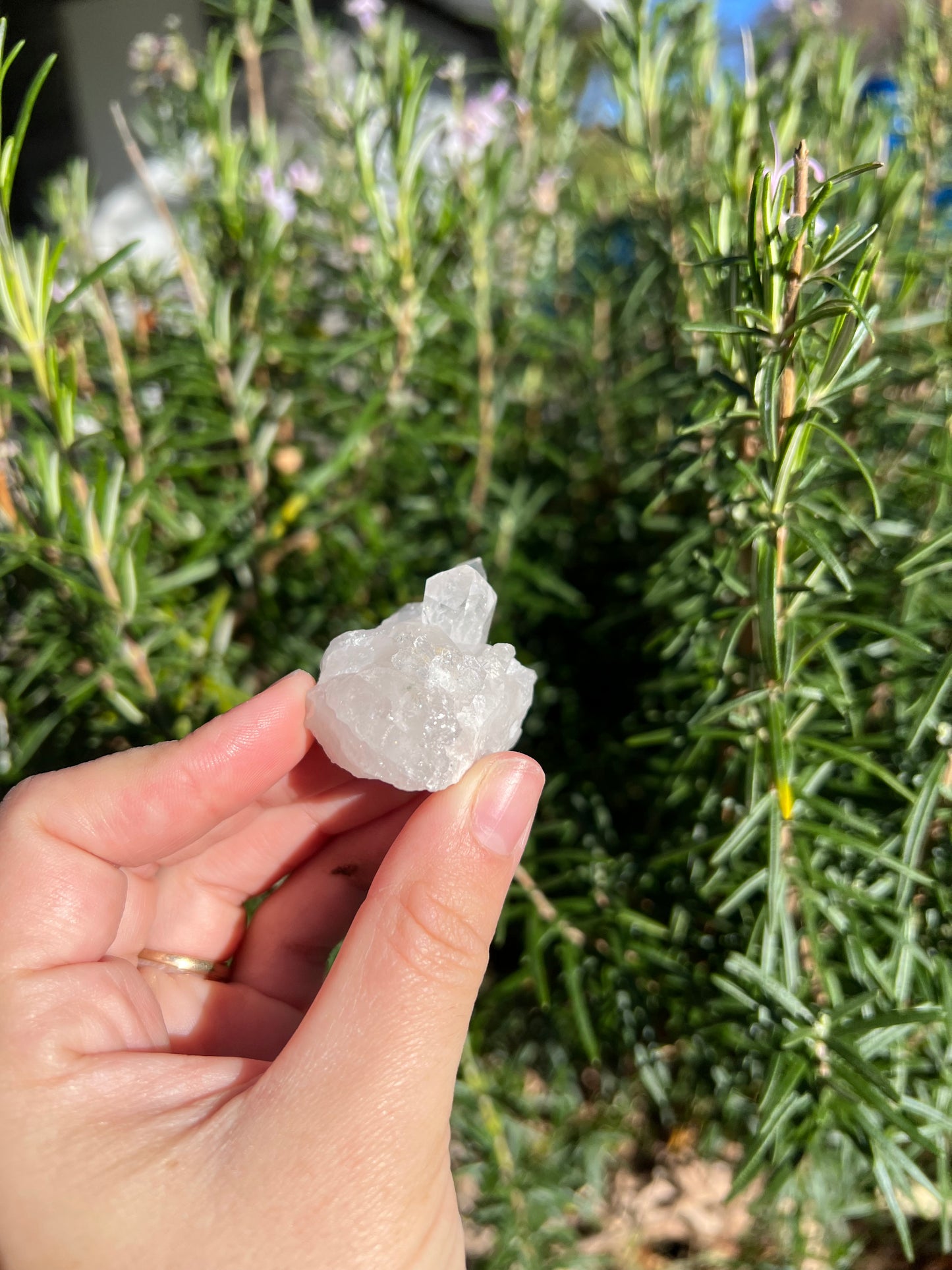 Clear Quartz Cluster
