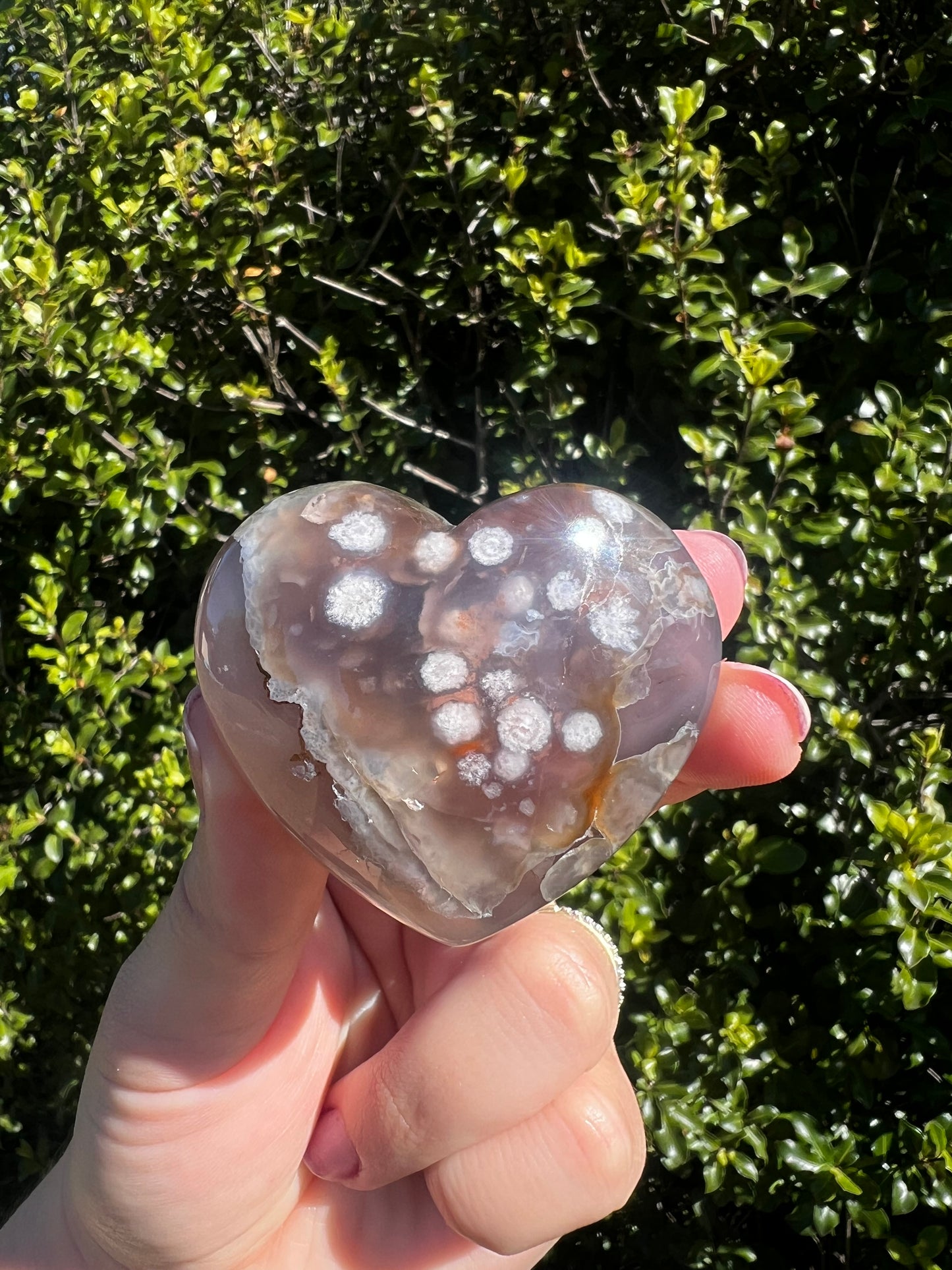 Black Flower Agate Heart