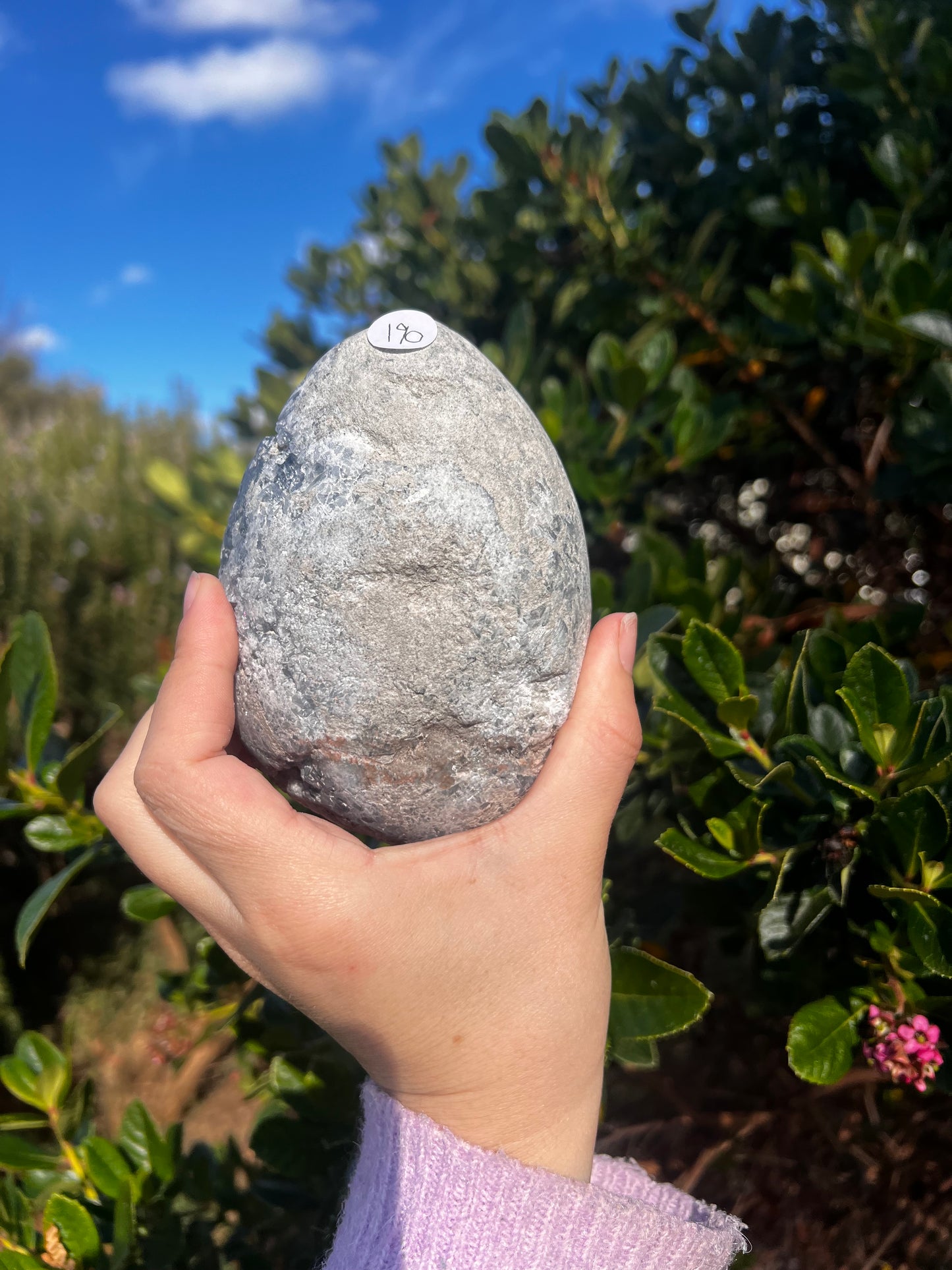Celestite Egg- Statement Piece