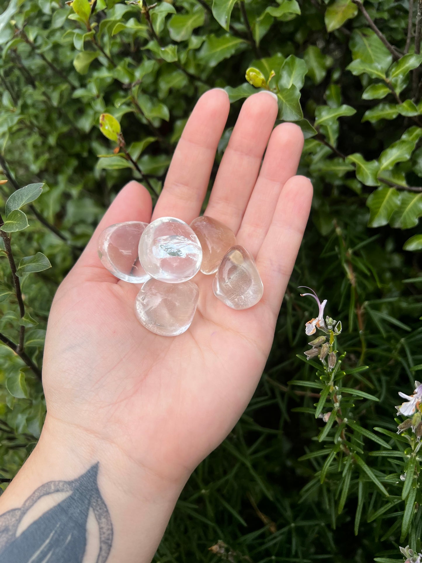 Clear Quartz Tumbles