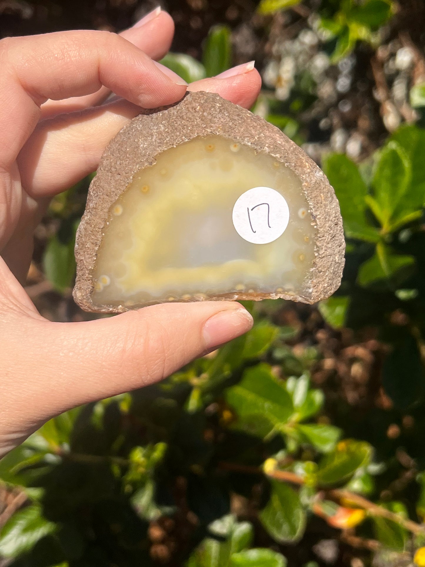 Agate Slab