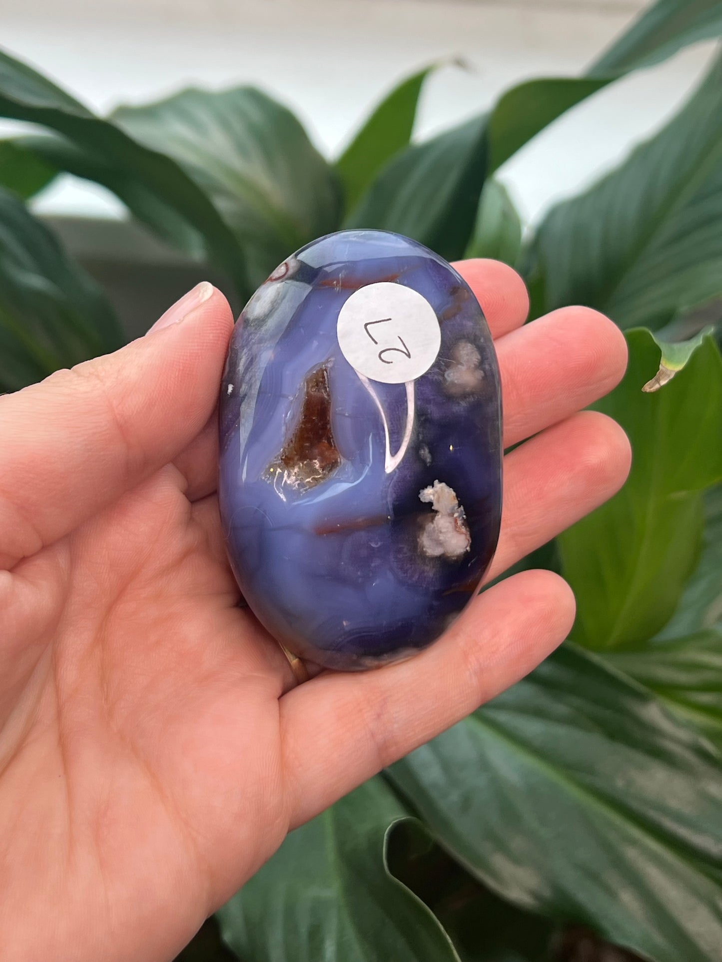 Blue Flower Agate Palmstone