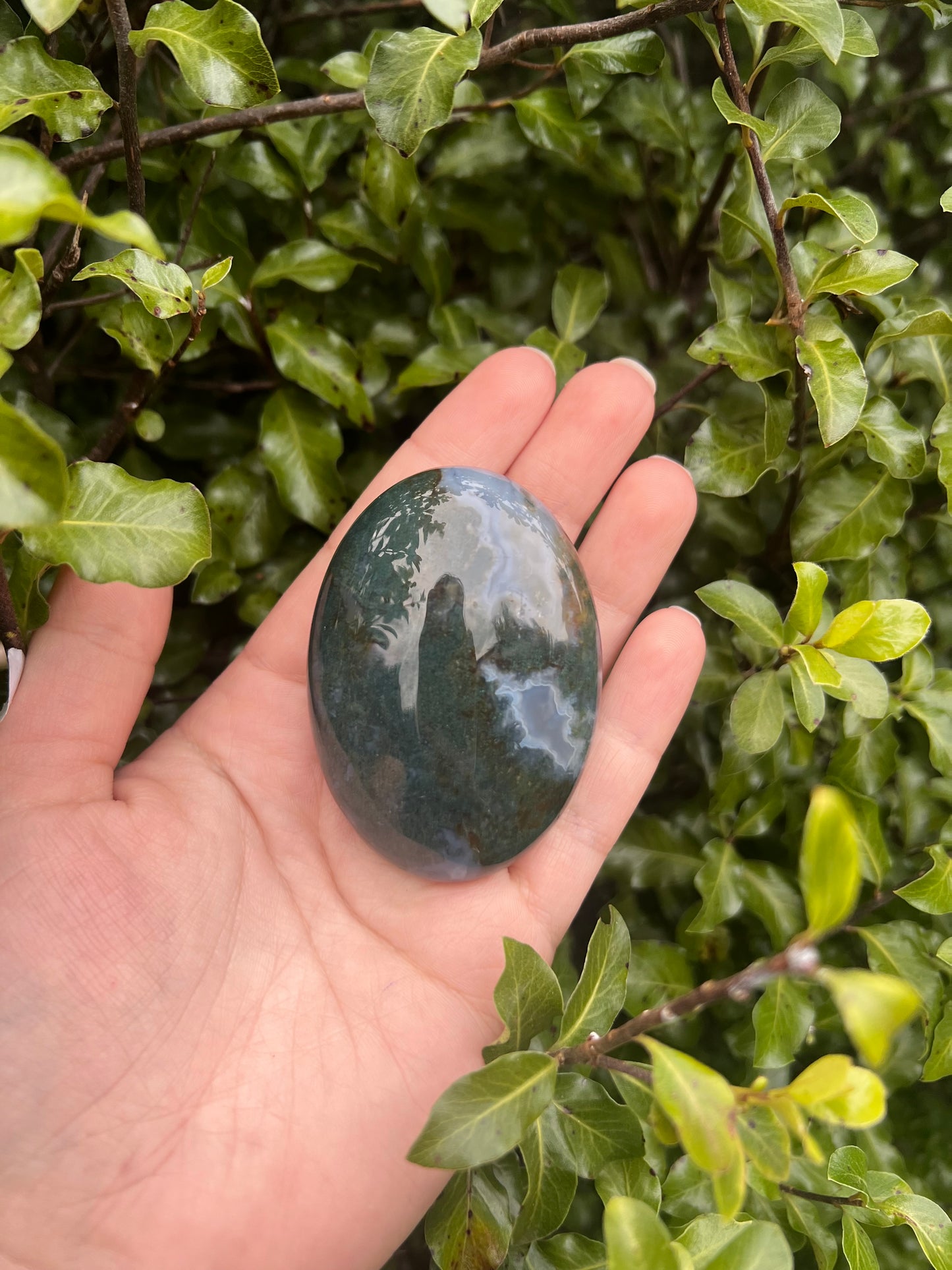 Moss Agate Palmstone