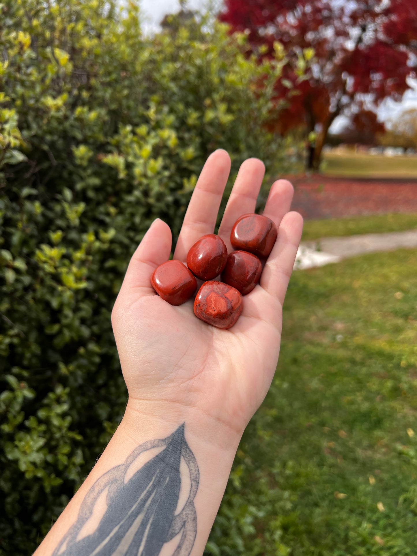 Red Jasper Tumbled Stones