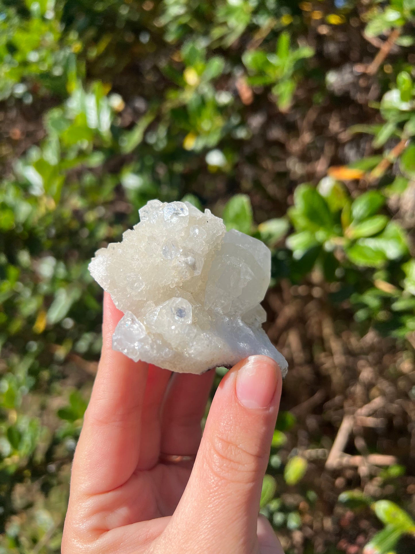 Apophyllite Cluster
