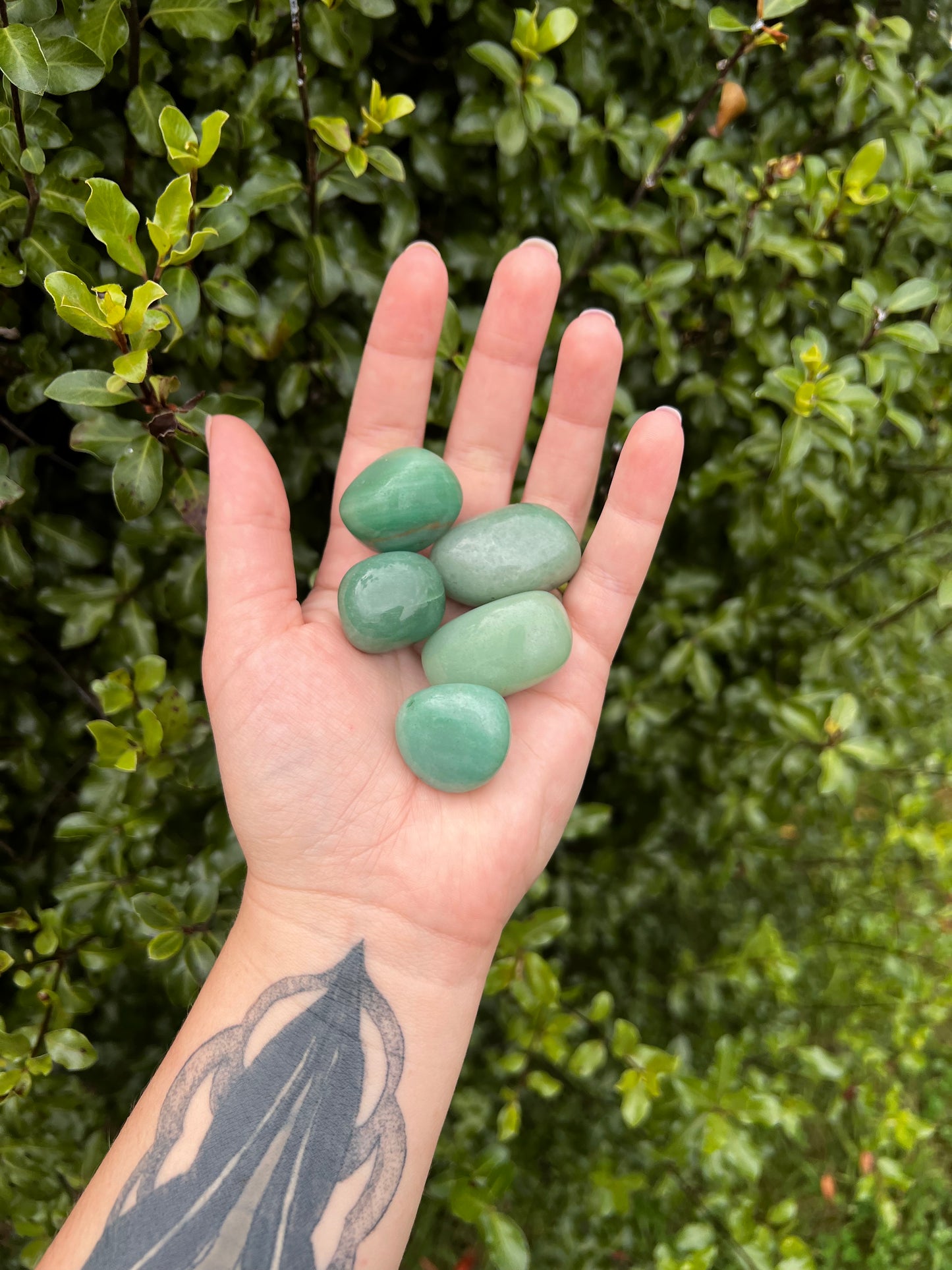 Green Aventurine Tumbles