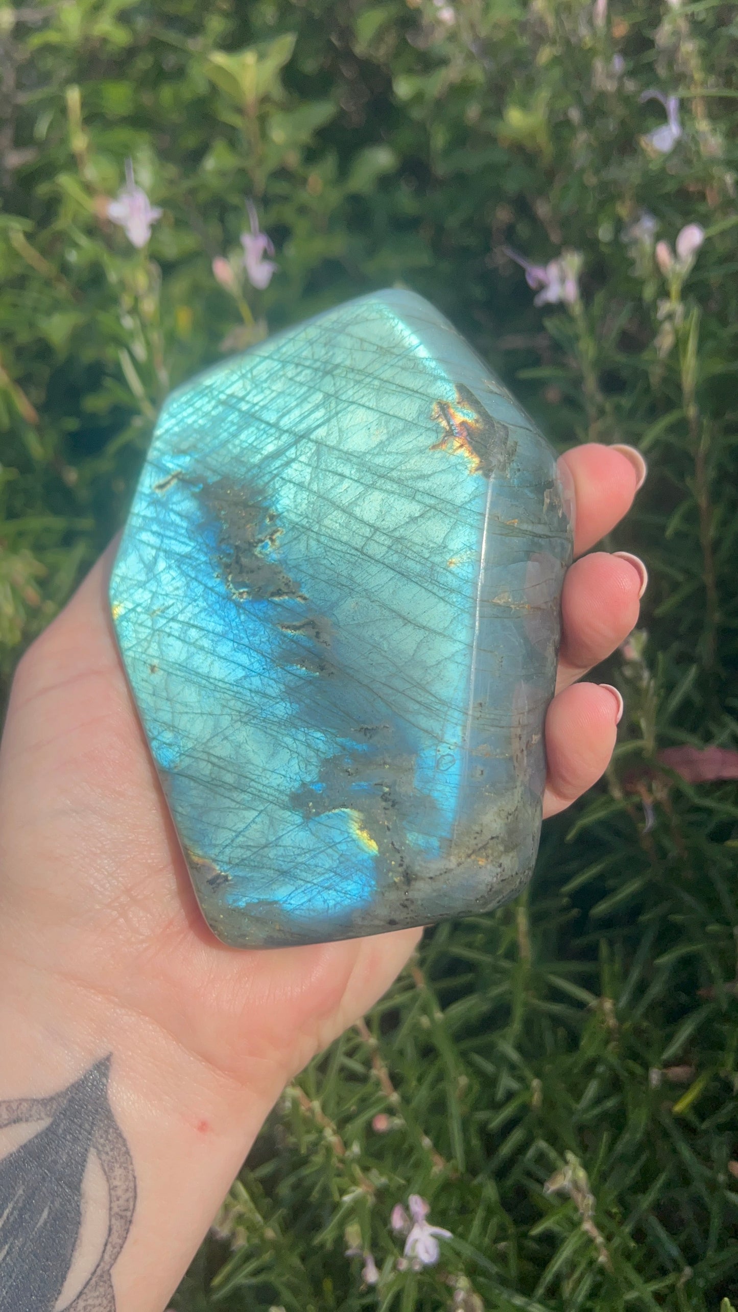 Labradorite Freeform