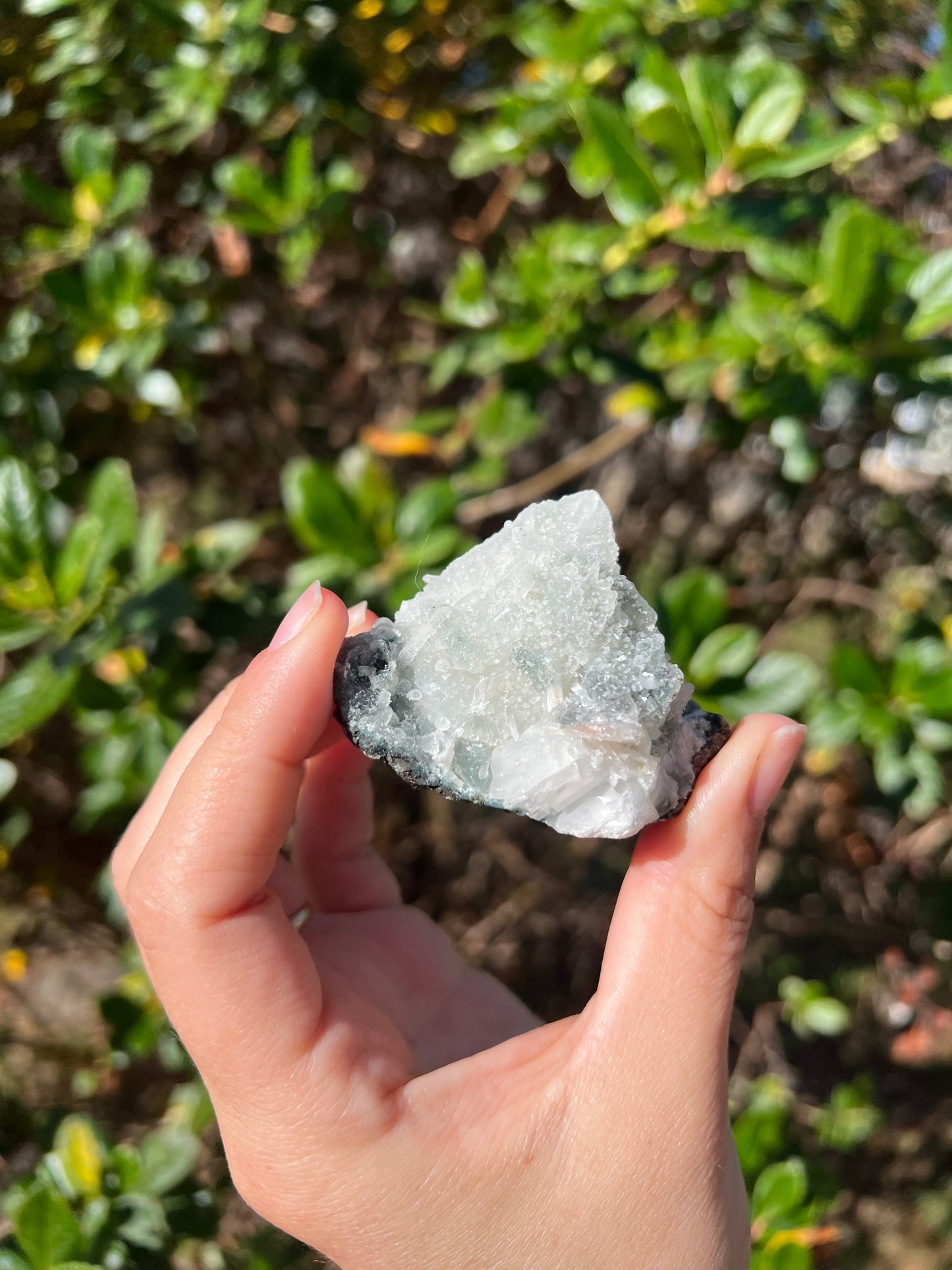 Apophyllite Cluster