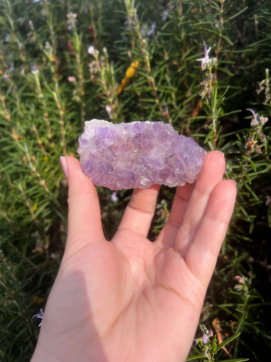Amethyst Cluster
