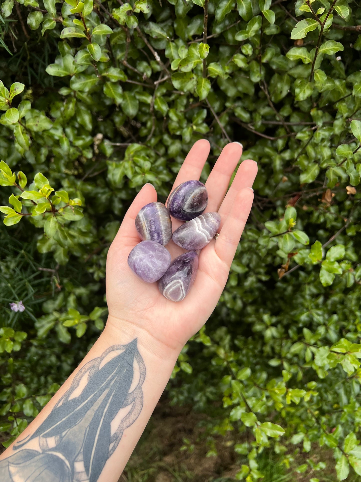 Amethyst Tumbles (Chevron)