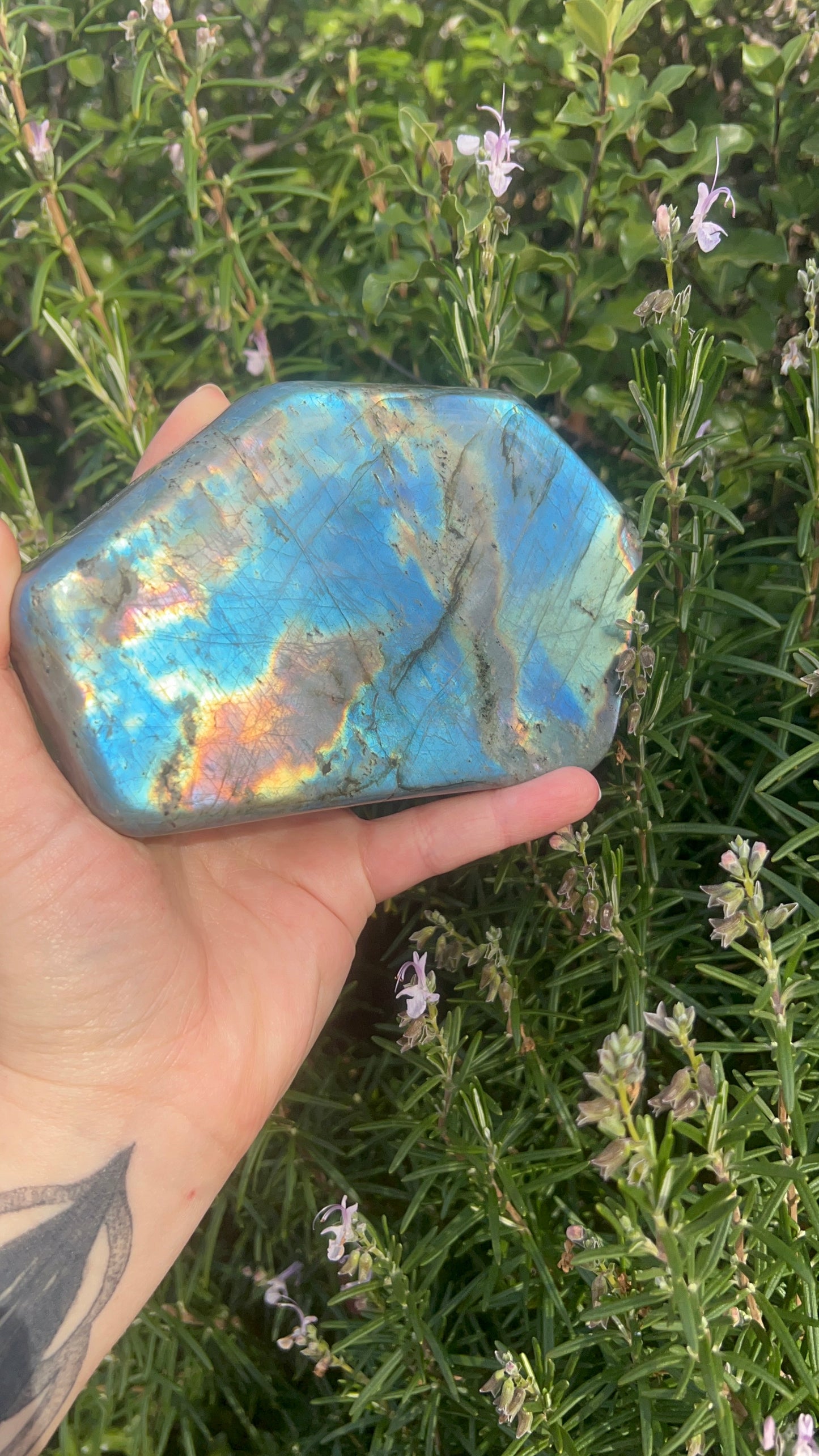 Labradorite Freeform