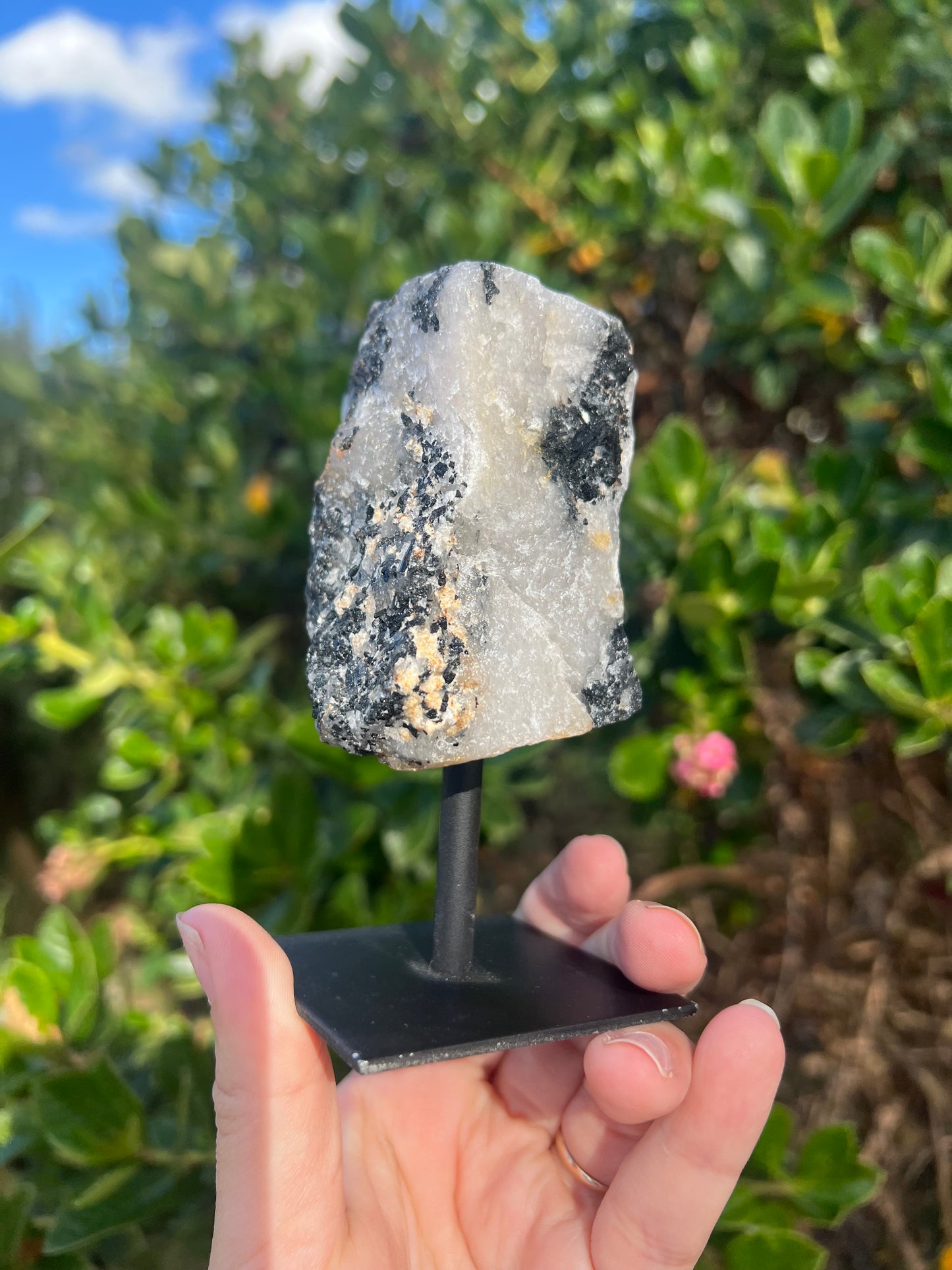 Raw Black Tourmaline in Quartz on Stand