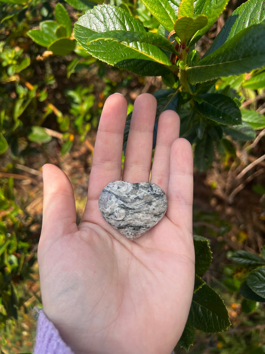 Zebra Jasper Heart