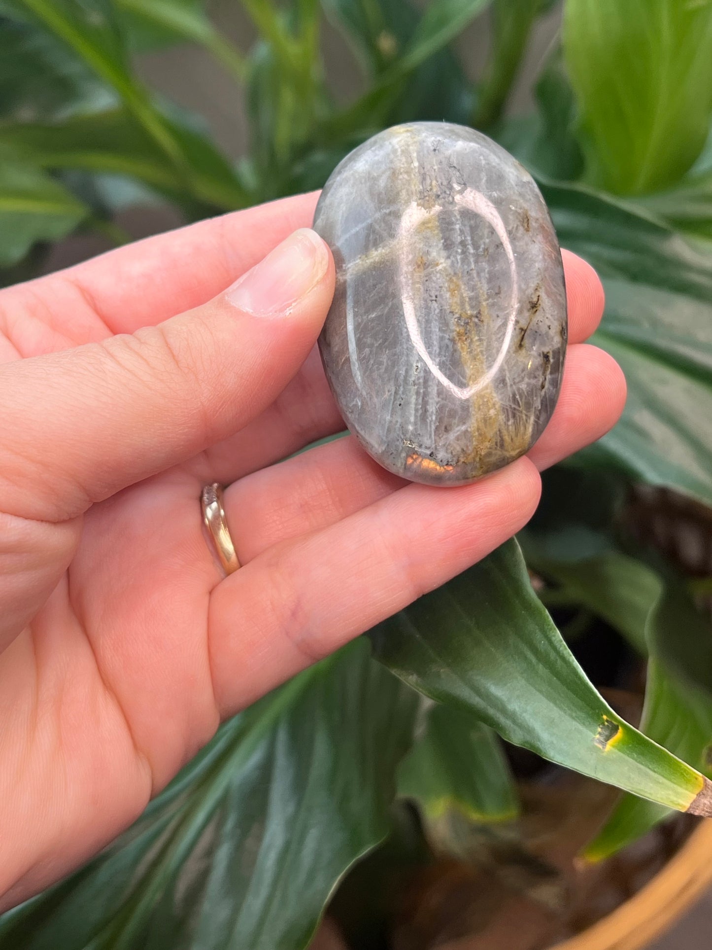 Labradorite Palmstone- Peachy