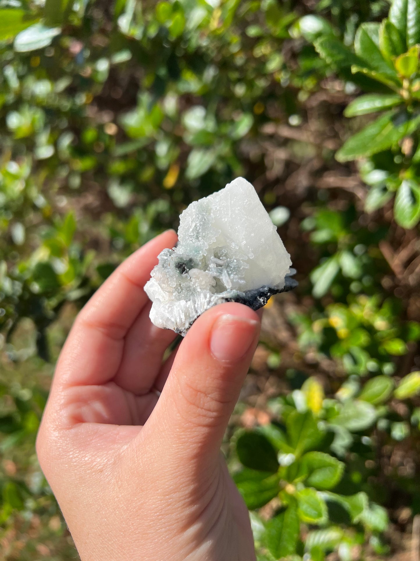 Apophyllite Cluster