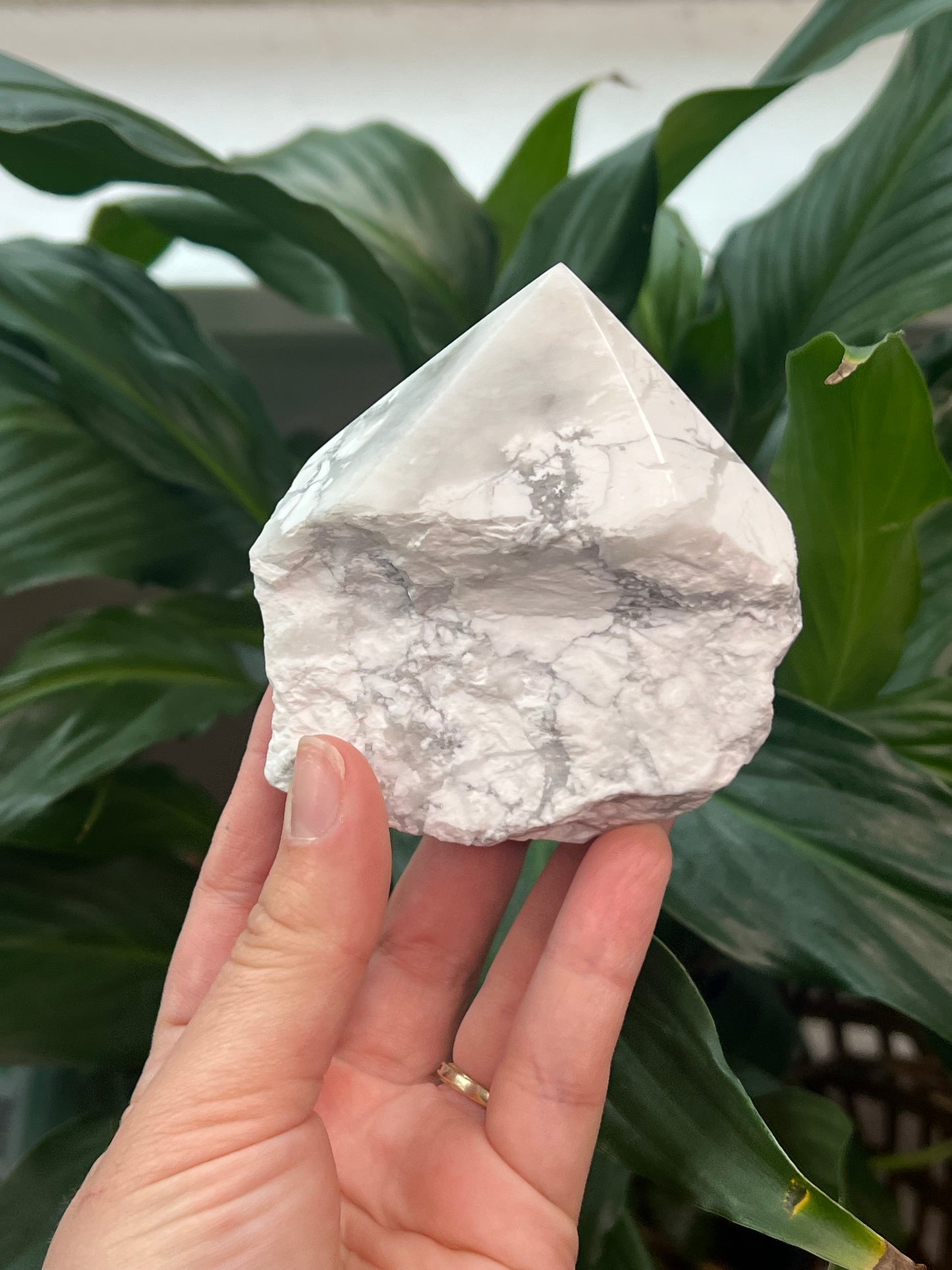 Howlite Polished Point Rough
