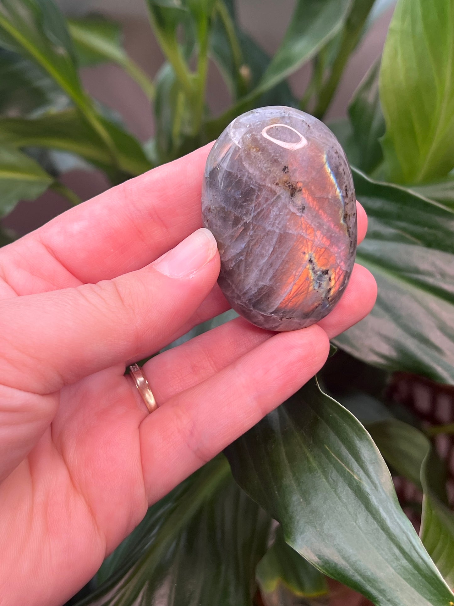 Labradorite Palmstone- Peachy
