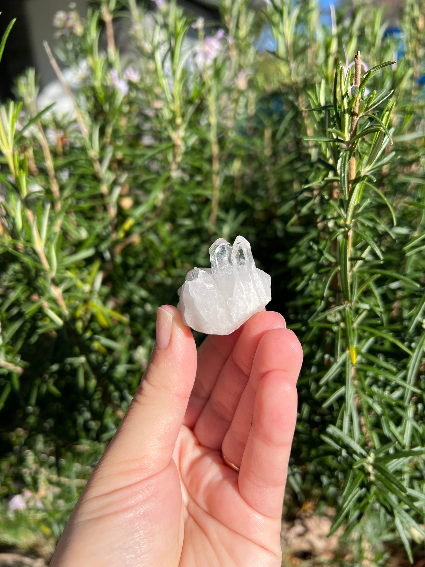 Clear Quartz Cluster