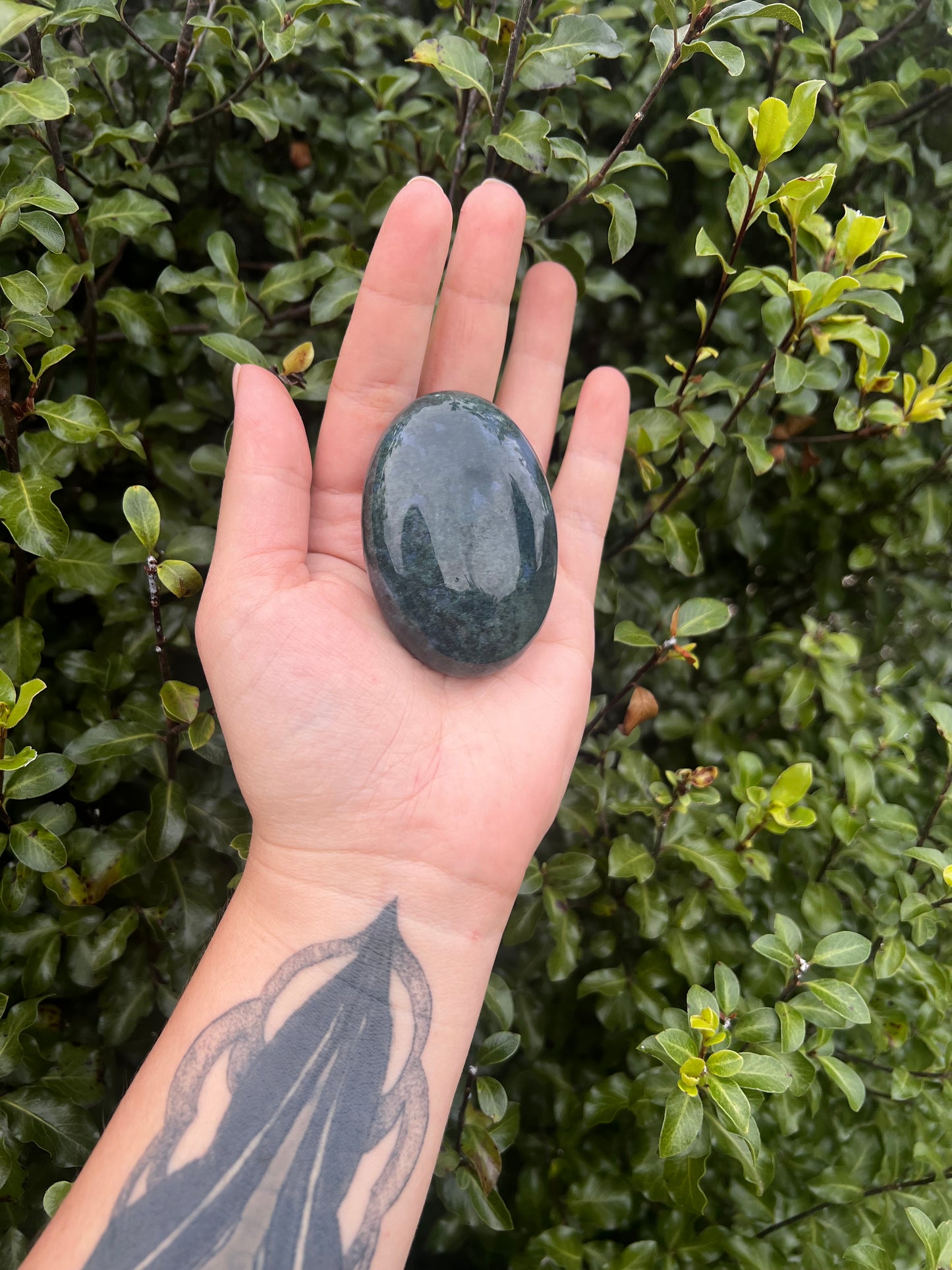 Moss Agate Palmstone